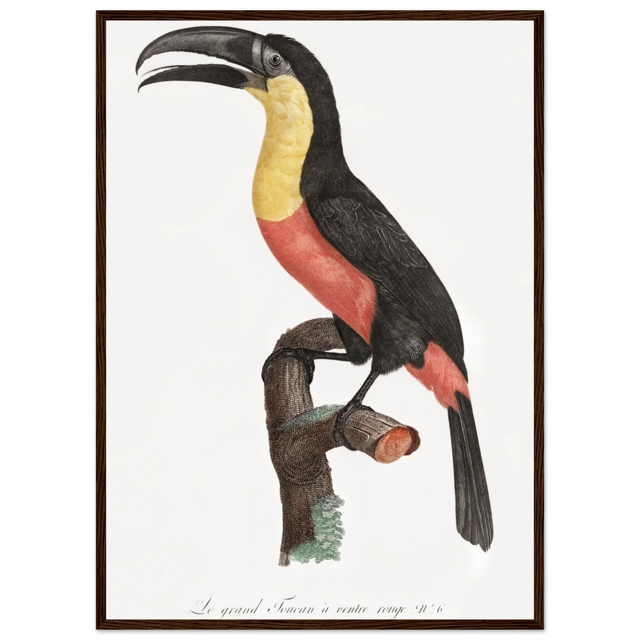 b7708155-8467-4e54-afd0-eaae0f8e8dc2