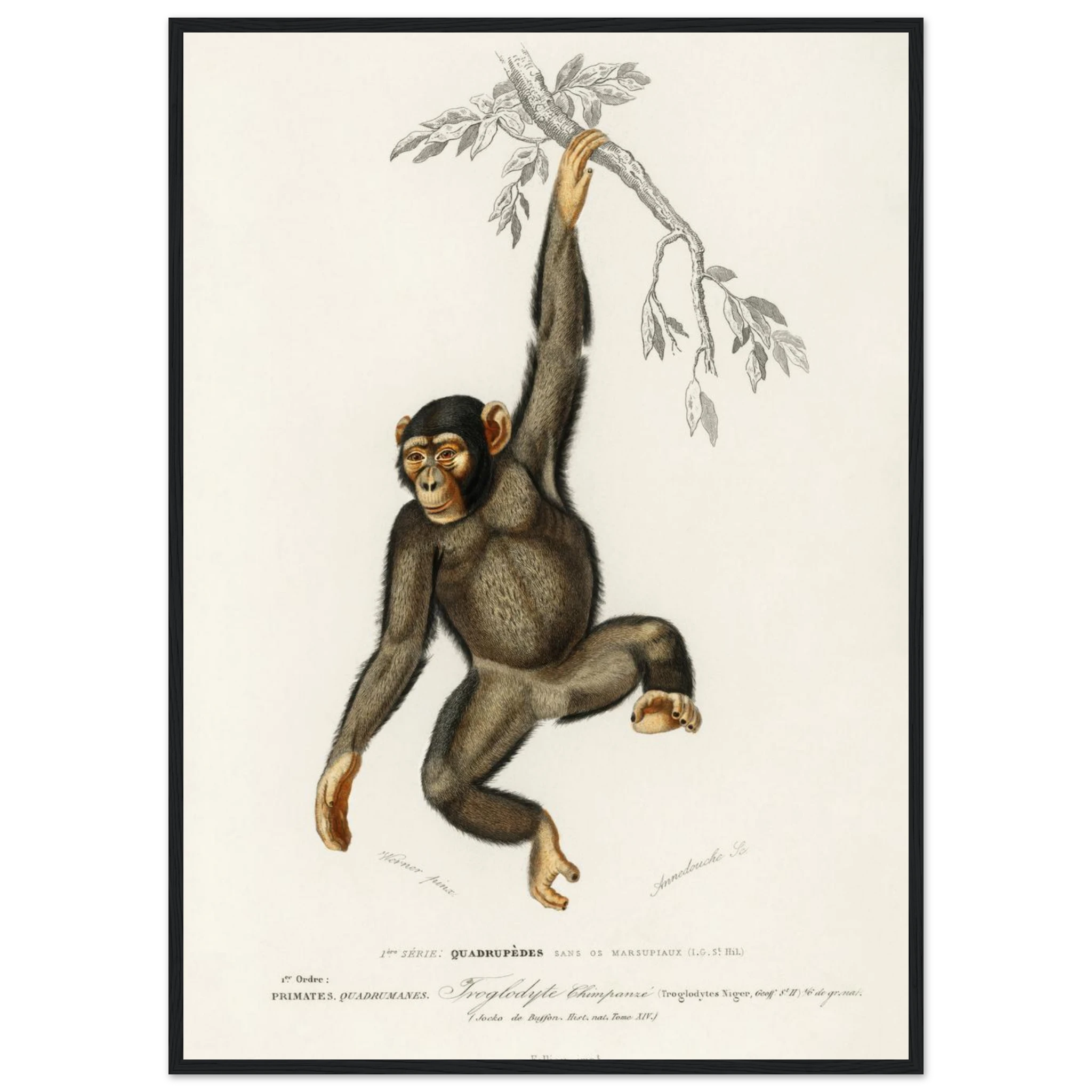 b7b63479-5c09-464f-a6c3-1369e73a4389