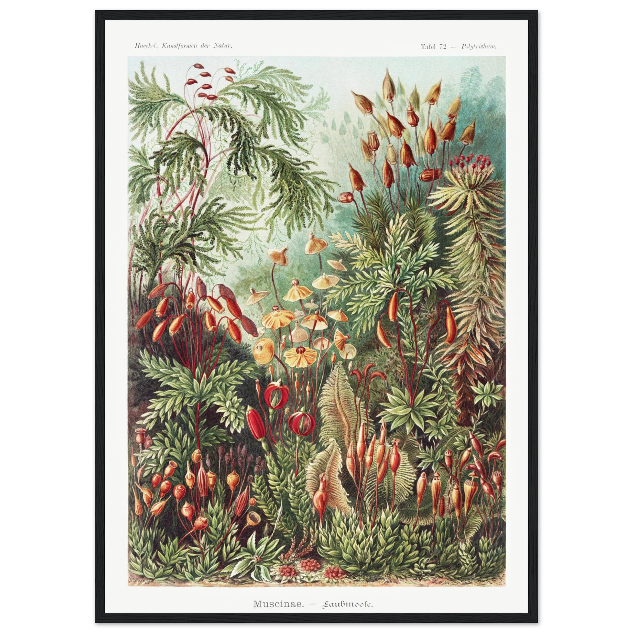 b7c9b41d-be47-4fe5-a842-8abcf958f618