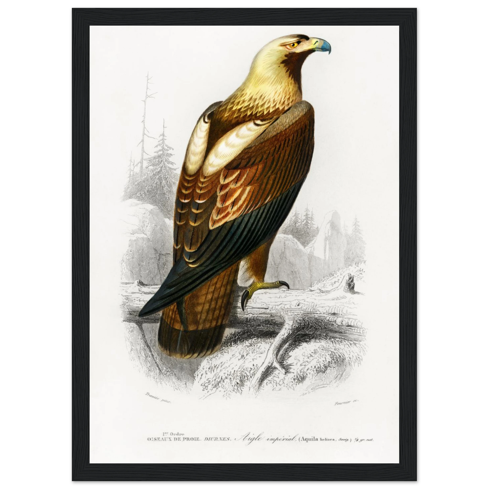 b7d5bfcb-0cc3-40d0-99d1-eb0e7f9320de