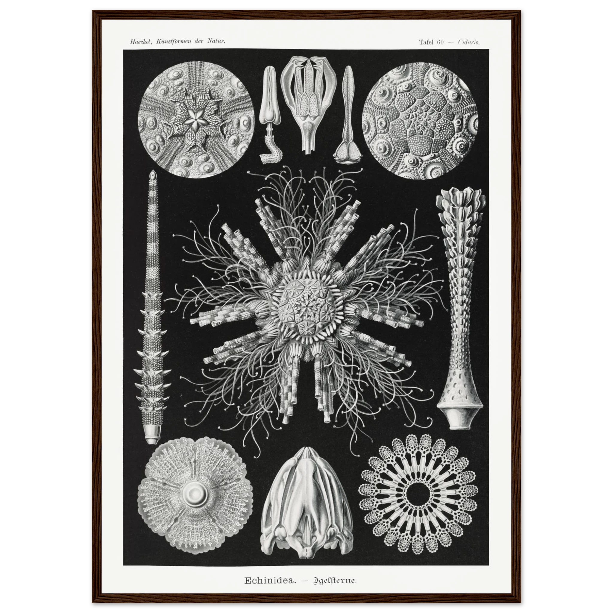 b81e27ea-7f15-4c8e-97d7-1cba5ca39b58