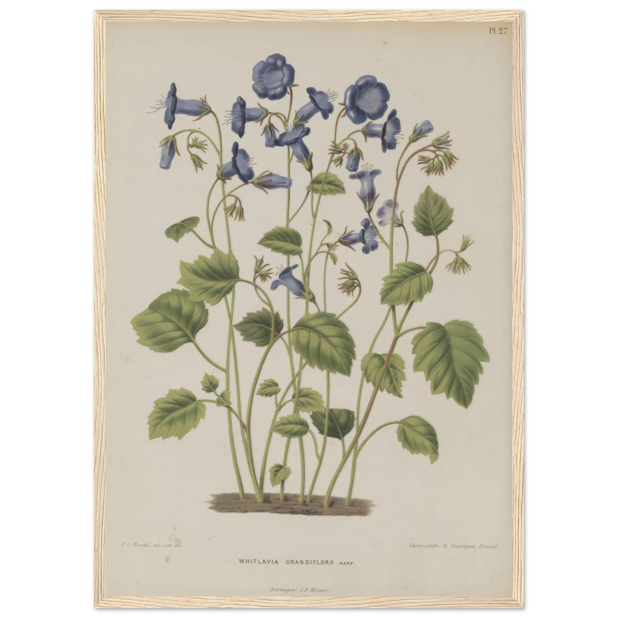 b8452f9c-c31d-4aed-bd9d-03c289c7df78