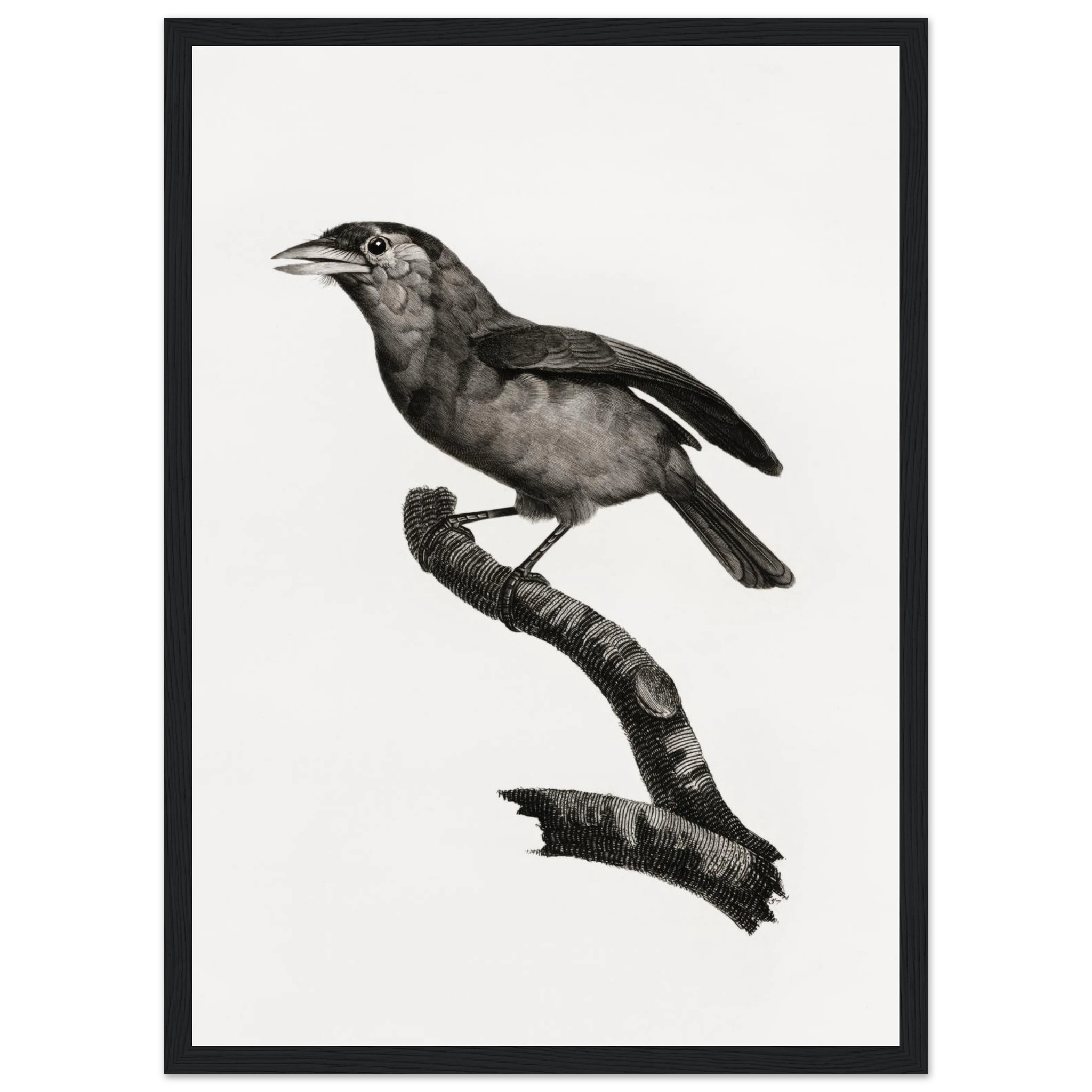 b87976e2-3bbb-4ecf-9dc3-dd13988920da