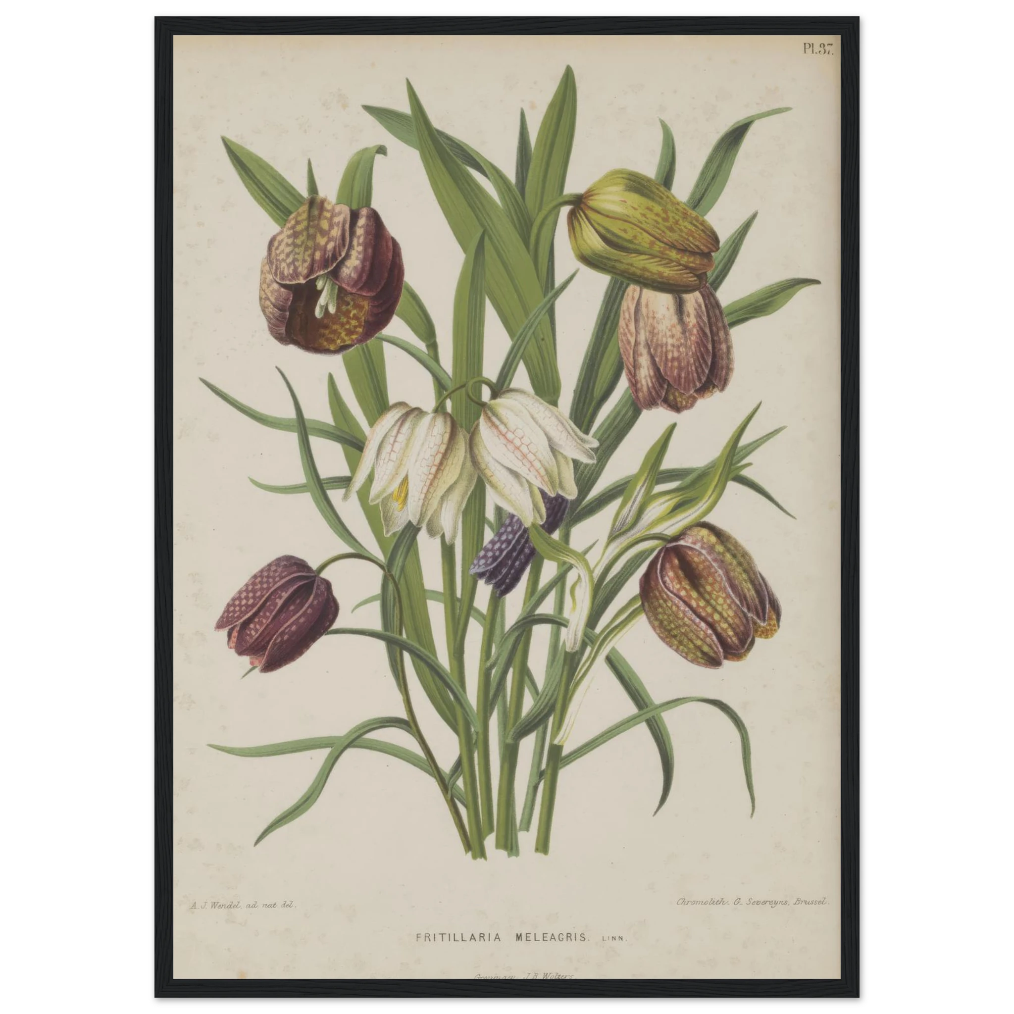 b88dfcb0-6008-4dbd-a442-6149ba4ef07e