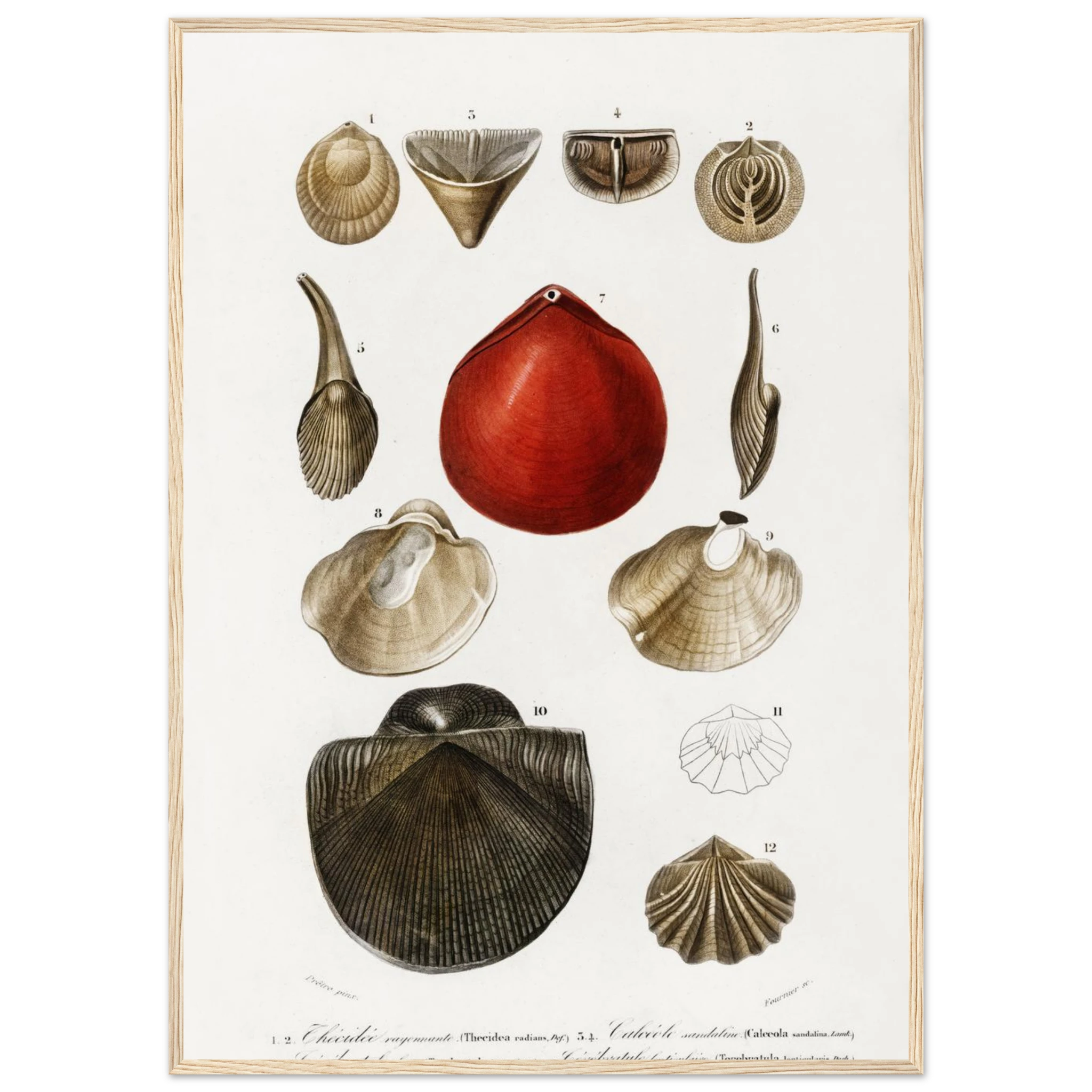 b89f7f3a-1955-487b-a347-bc6a60ba9c14