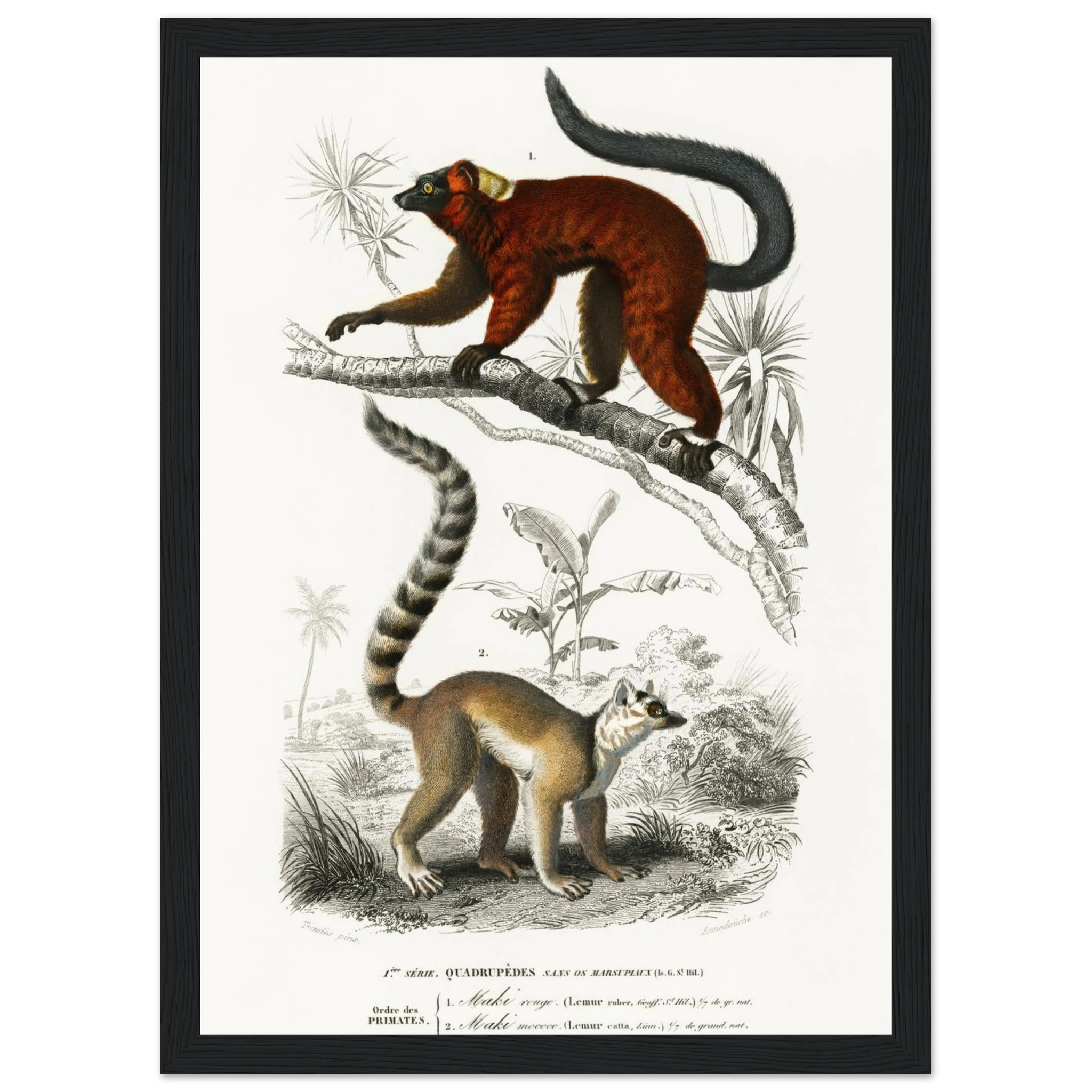 b8be1066-ae71-4710-9fa2-2ab7186613fe