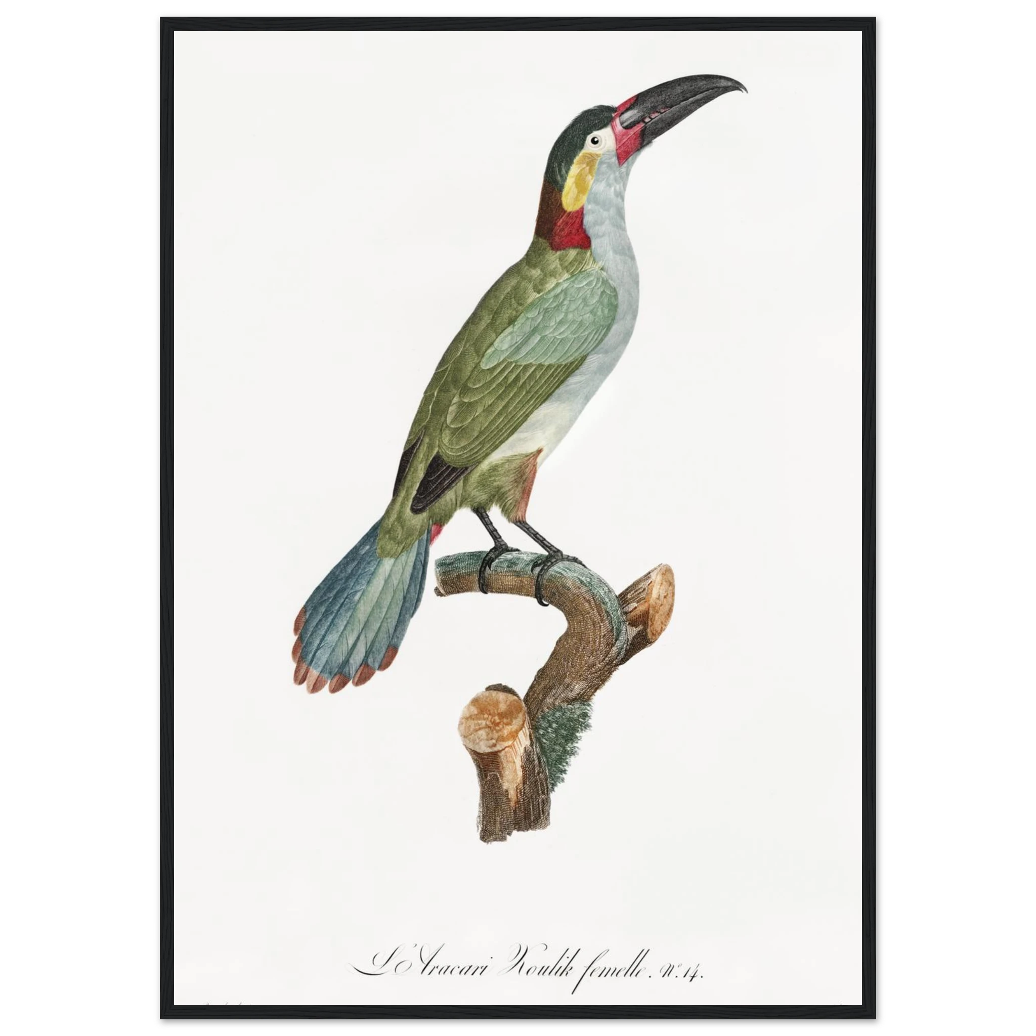 b8d7516b-3e2d-4b59-98b4-ff73bd9d4b24