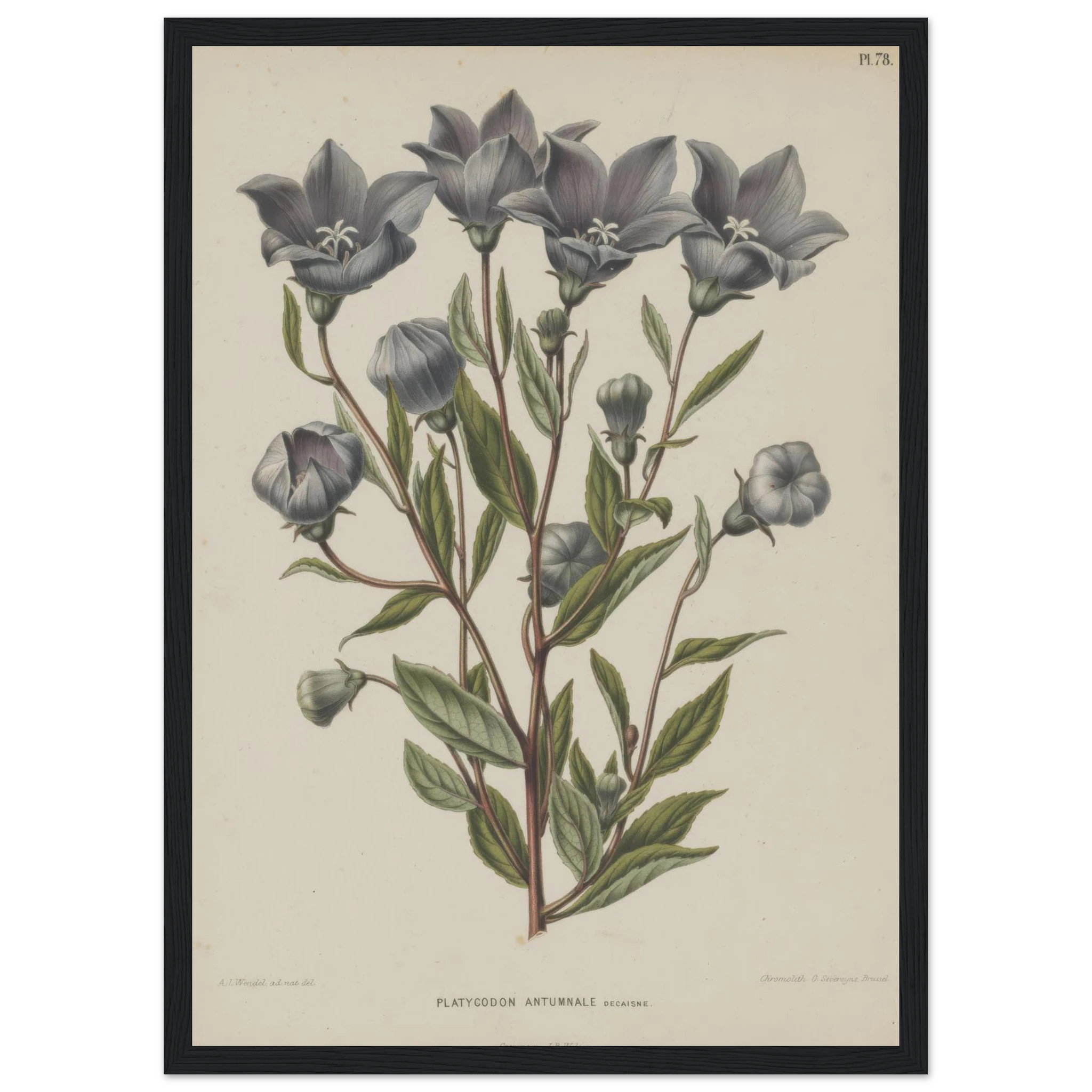 b8f20019-0f4f-4fb4-926c-fc273f301fdd