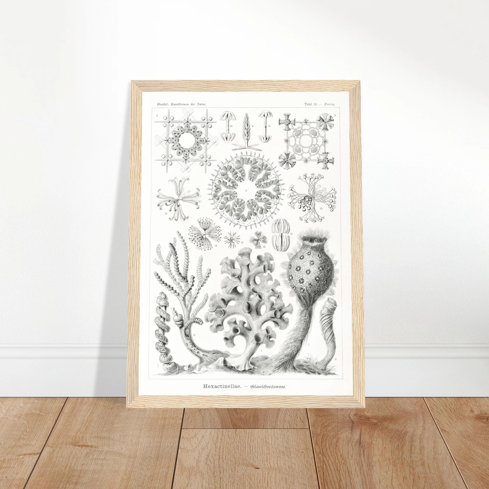 b9151882-9505-456a-912a-25ff10fe8afb