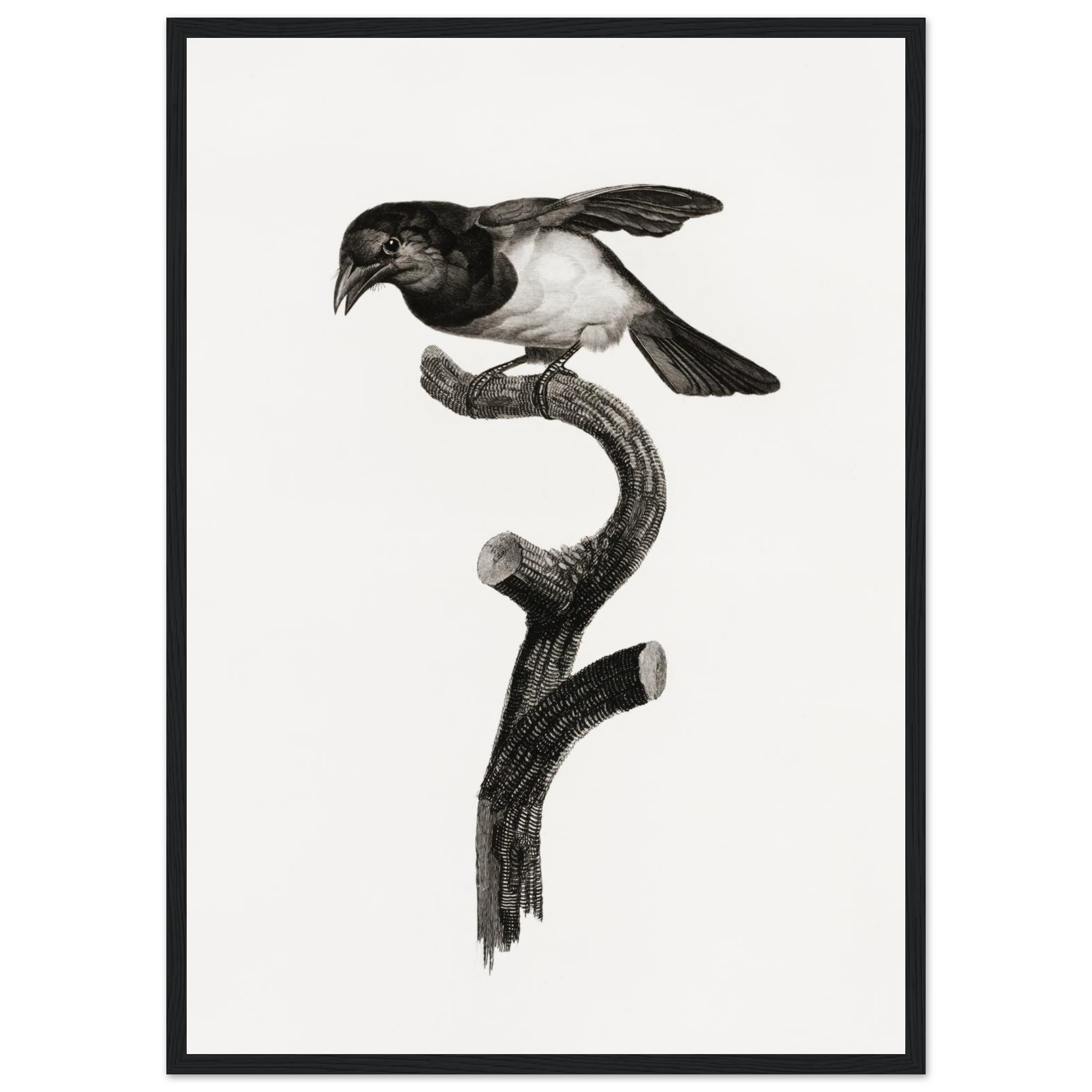 b92136d2-ad2b-4f41-b333-a71209612c95