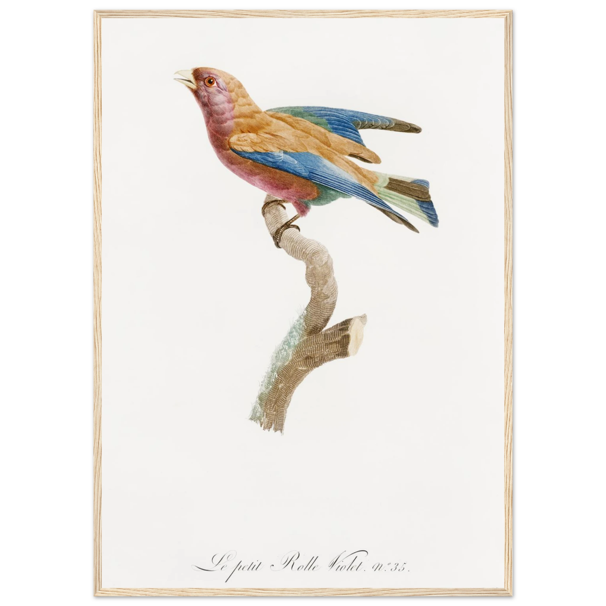 b92b8e21-471d-4e12-8e68-64870c8e5929