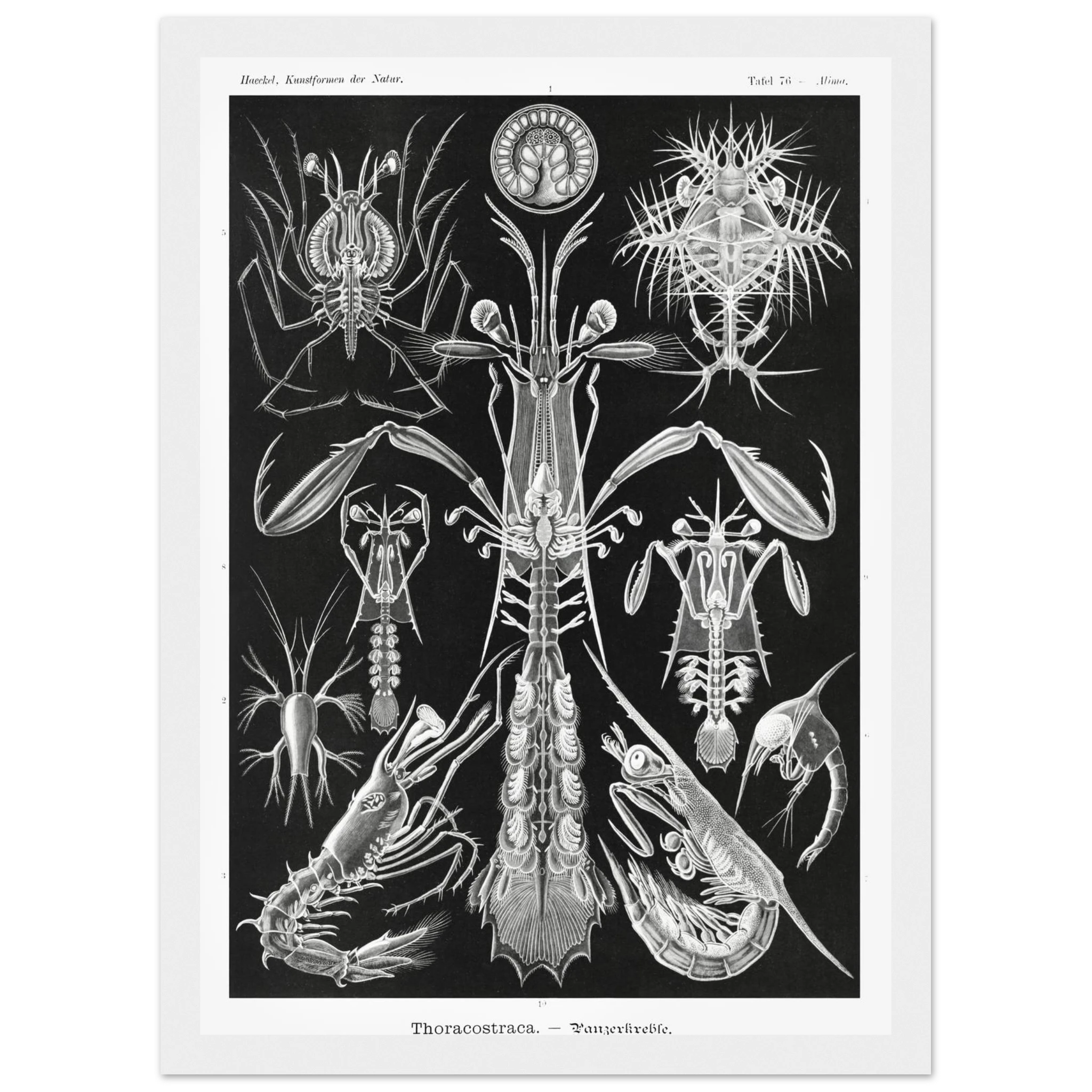 b983b812-433c-4c46-b78c-a2a580ba6224