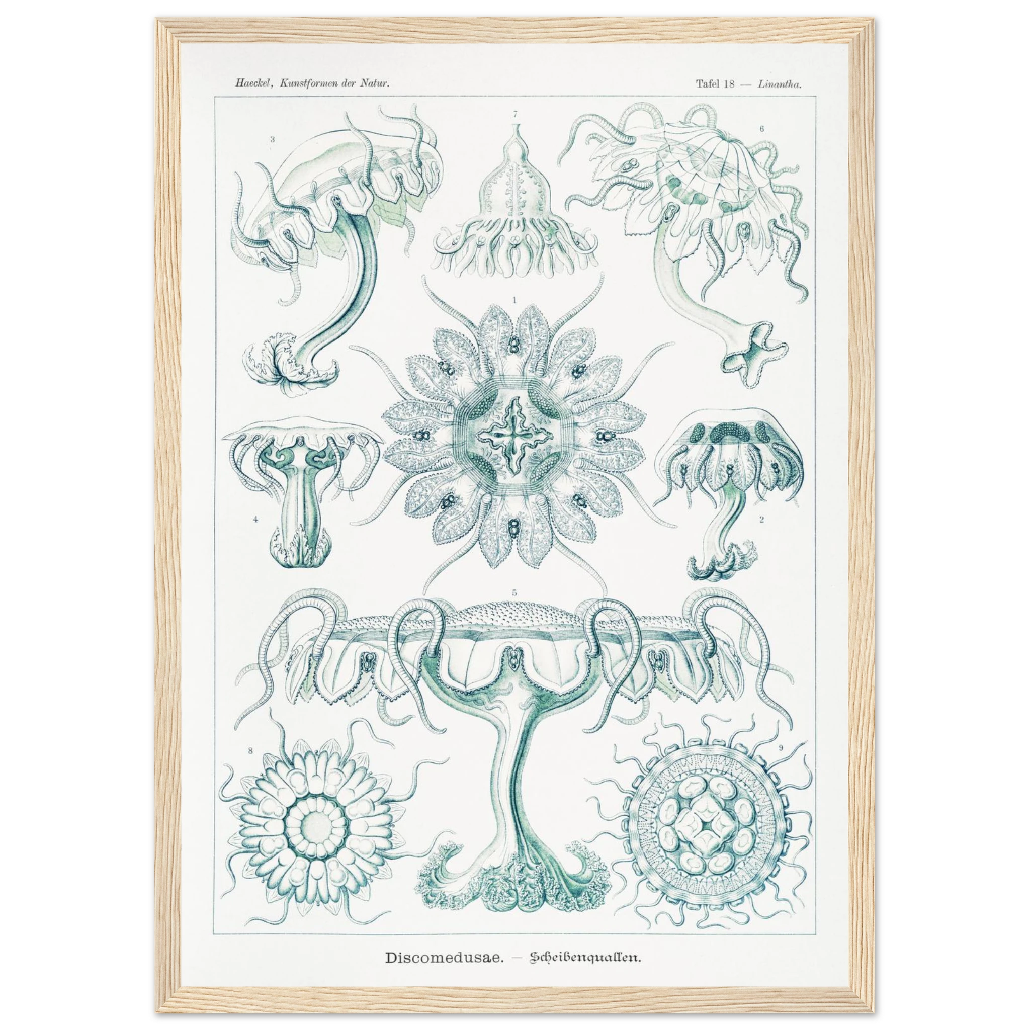 b993863c-1783-4faa-8dde-11968fbe4aa1