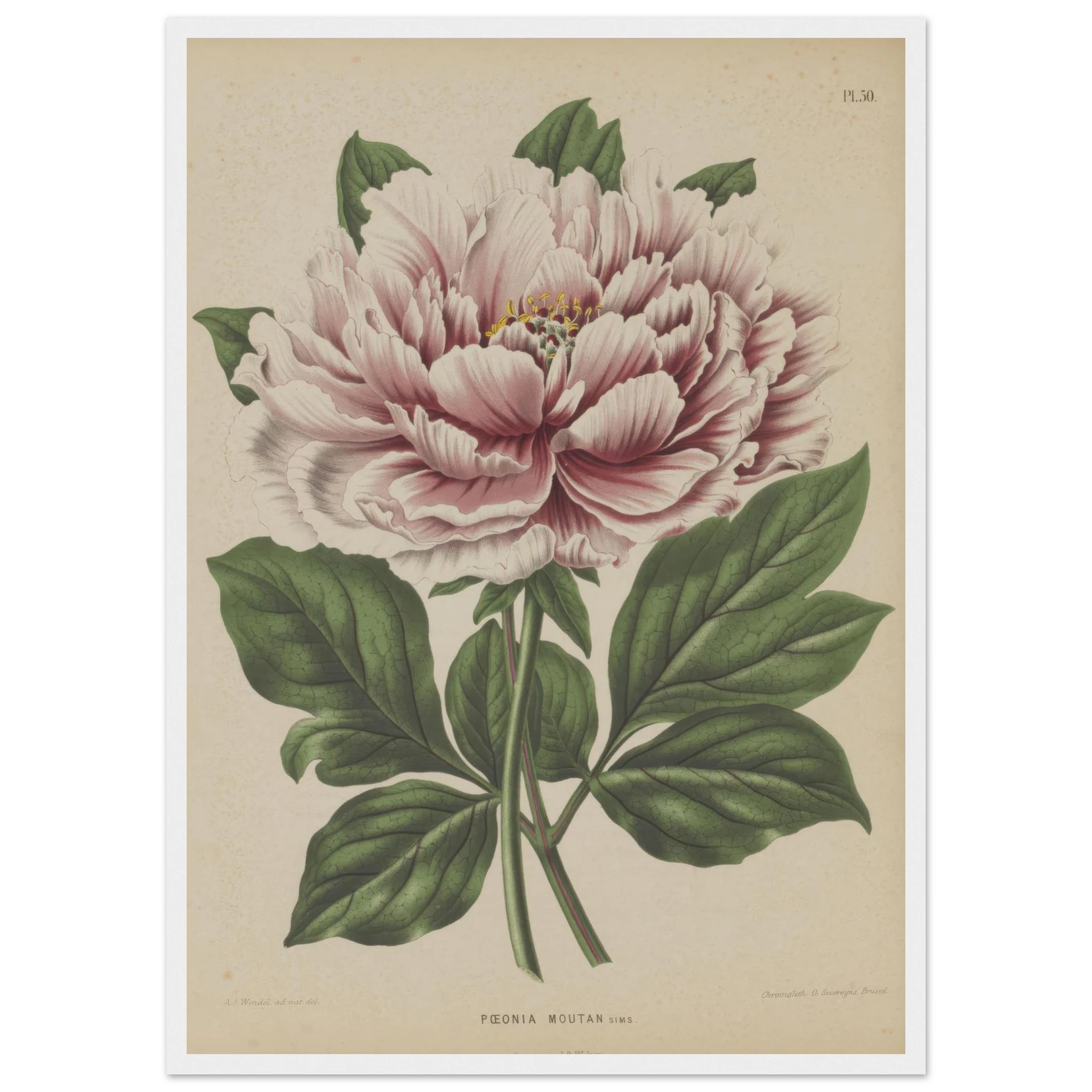 b9a7a25b-f33f-492e-8210-92950c704268