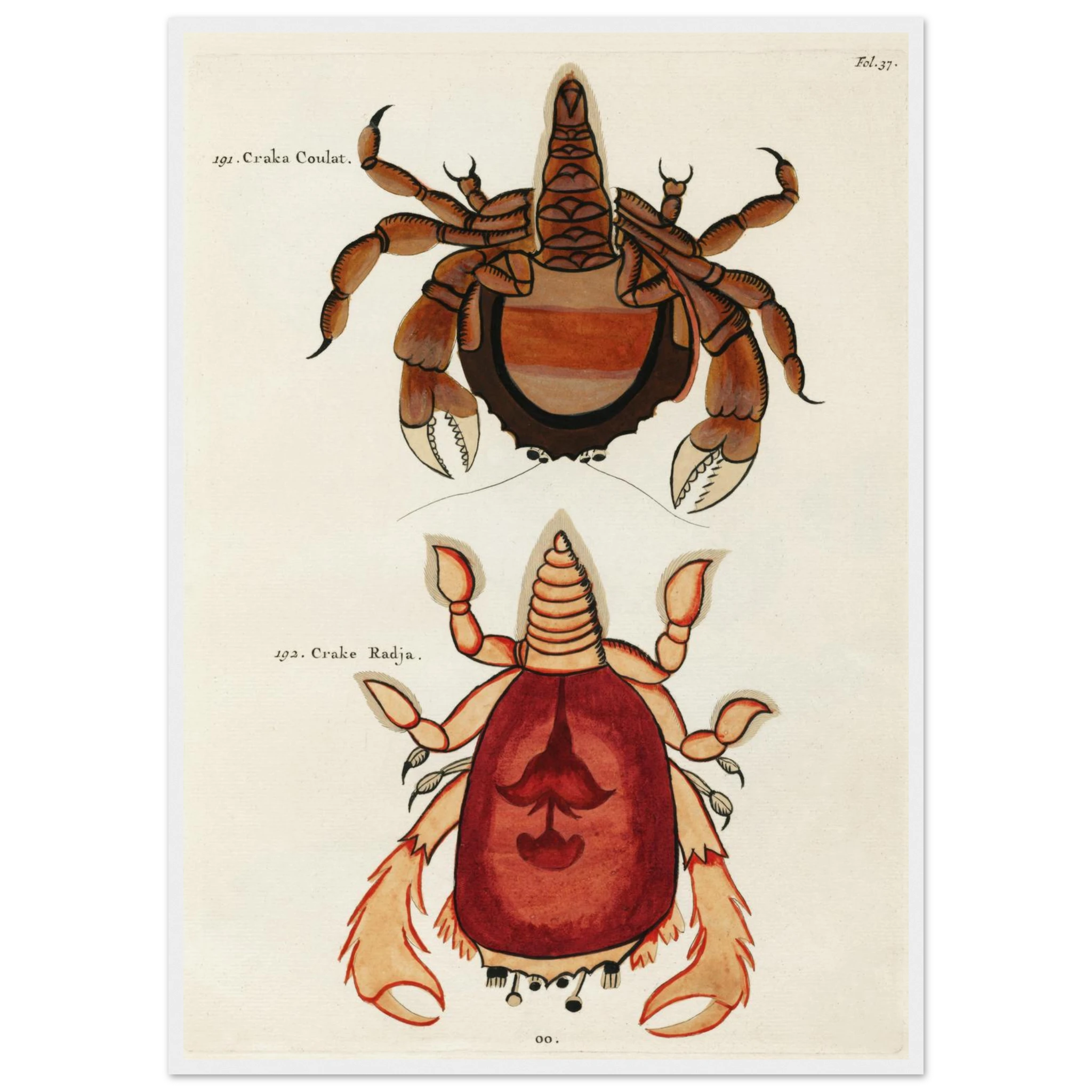 b9a96831-f17f-44f1-907d-7cb52c308569