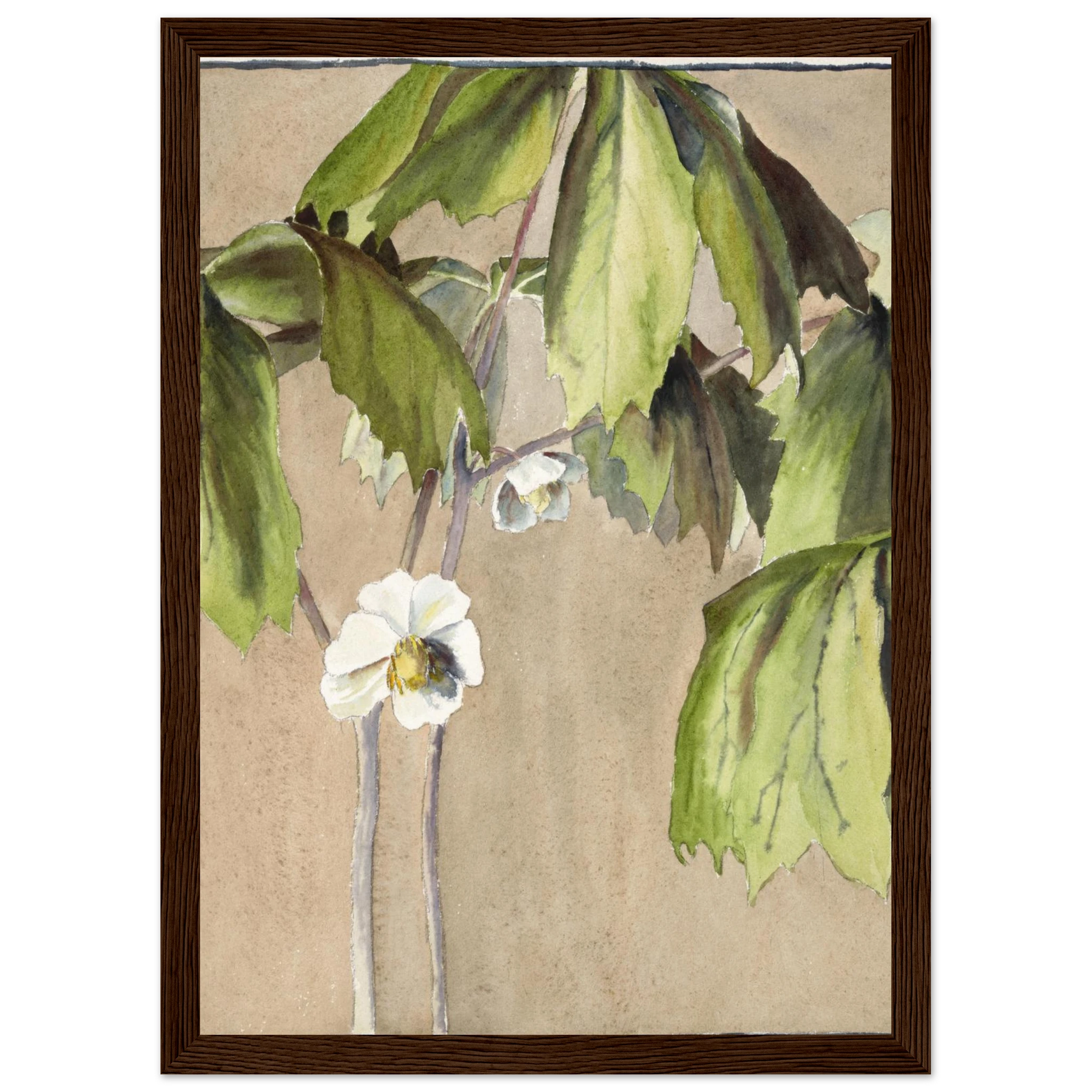 b9cda46e-55b1-4d88-a1b0-649c17b2dcf1