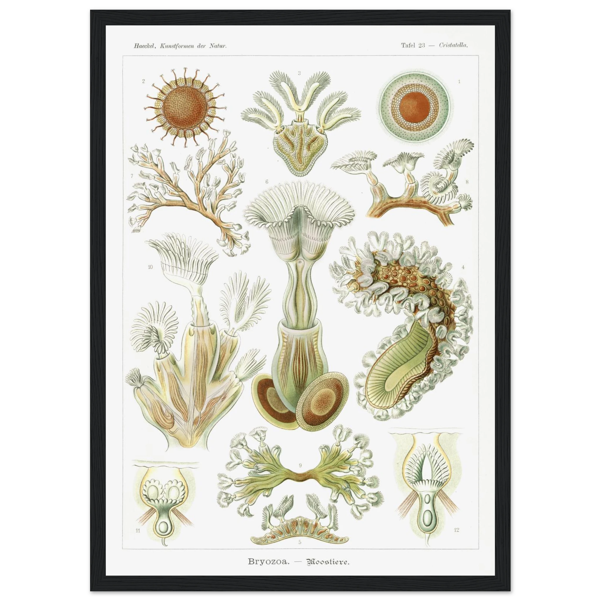 ba1d683a-6f57-4f50-b1cc-a55fe37804e6