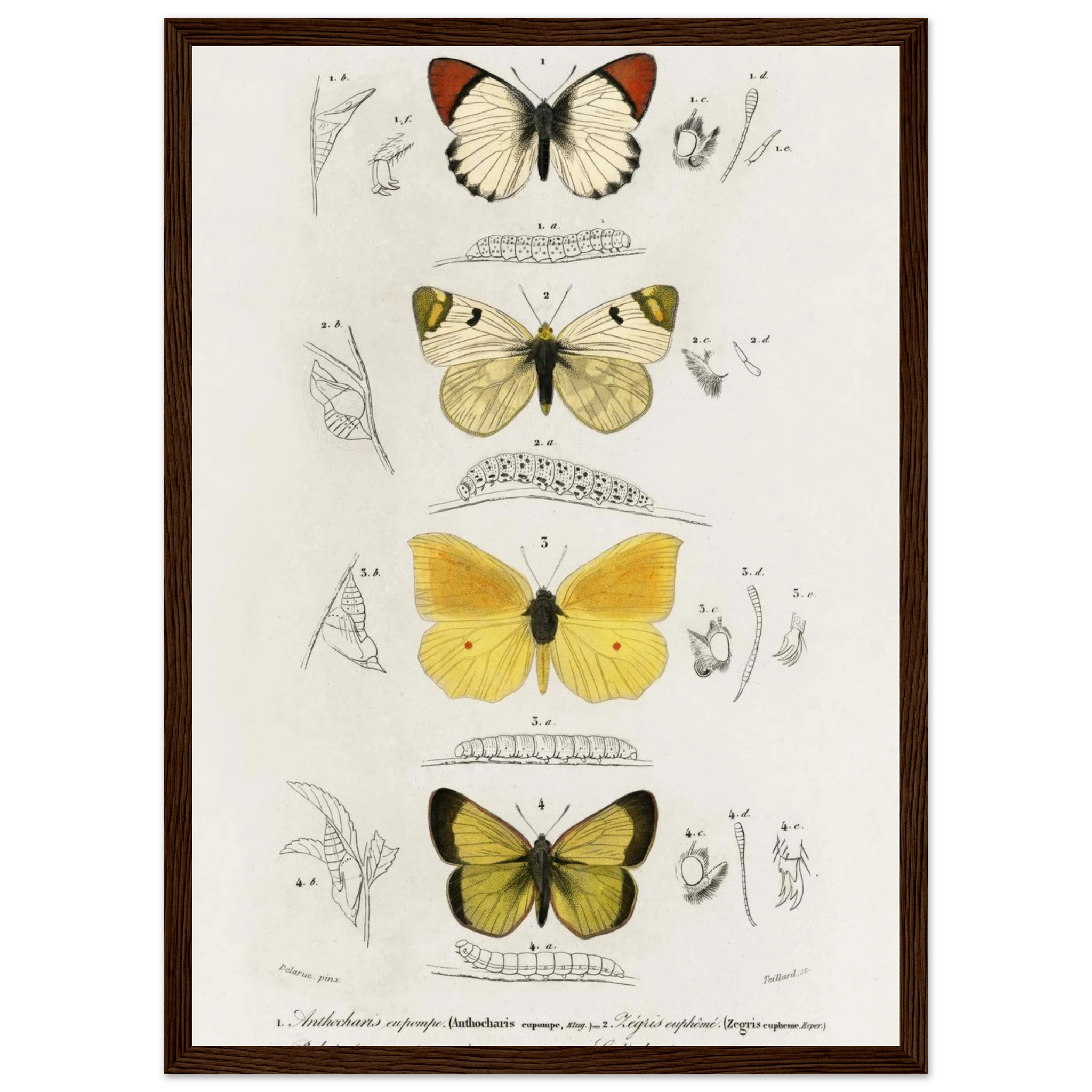 ba411d4b-c2c6-4db6-875a-4c46e1ef74bb