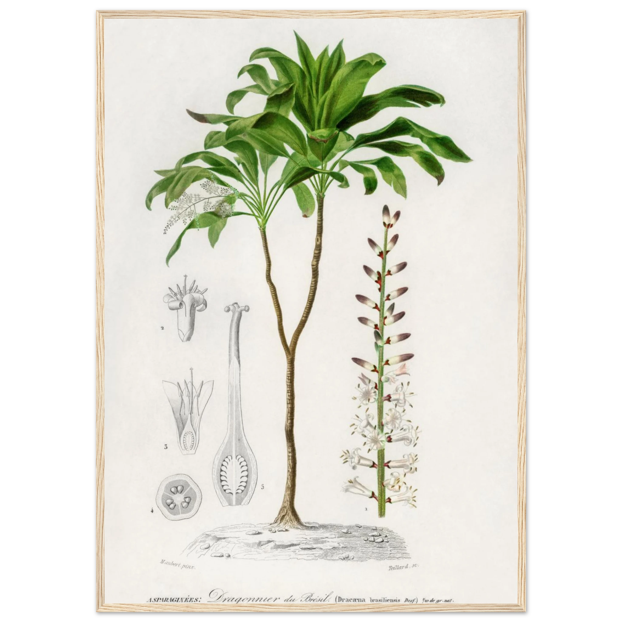 ba4cb122-b473-4490-98f6-daa905221ba0