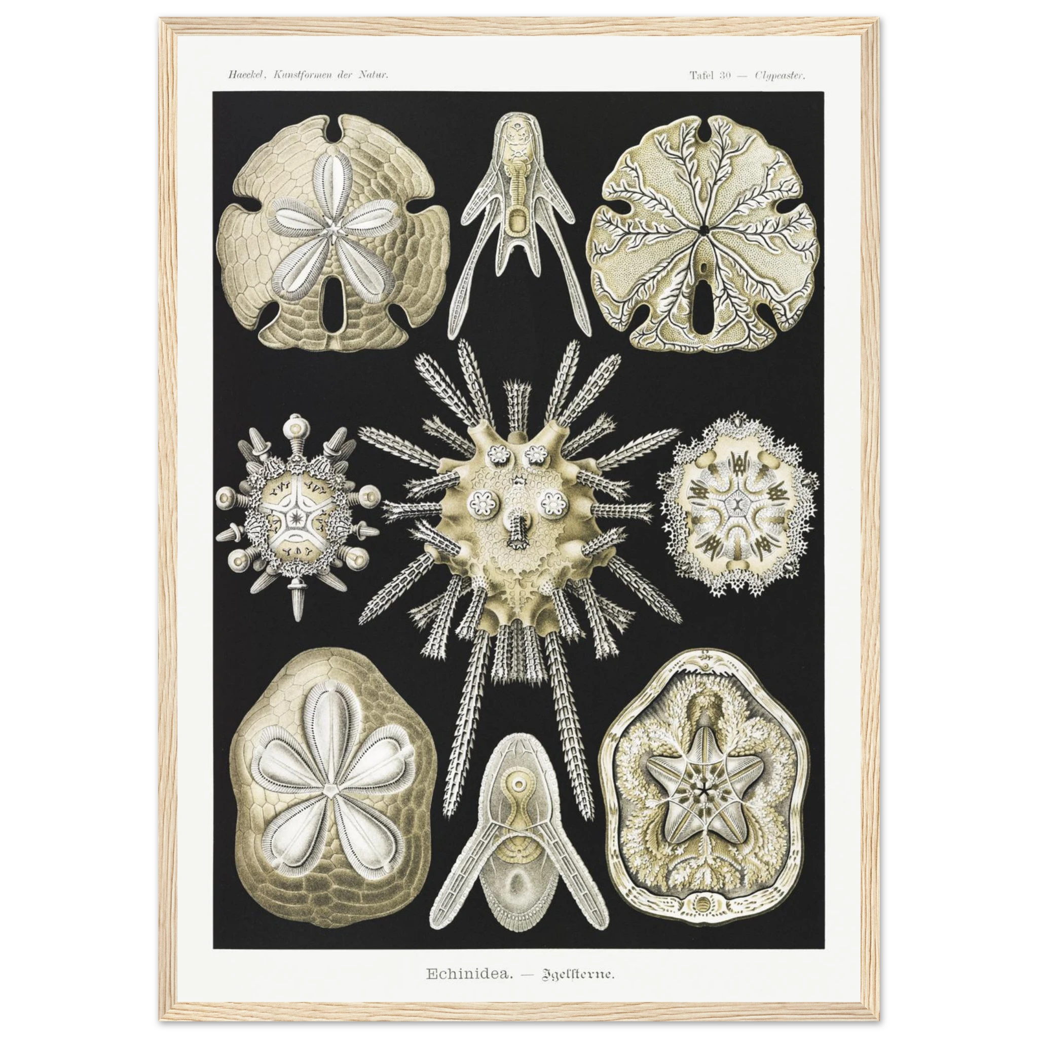 ba621893-6481-4220-8c61-eef2ca3f1aaa