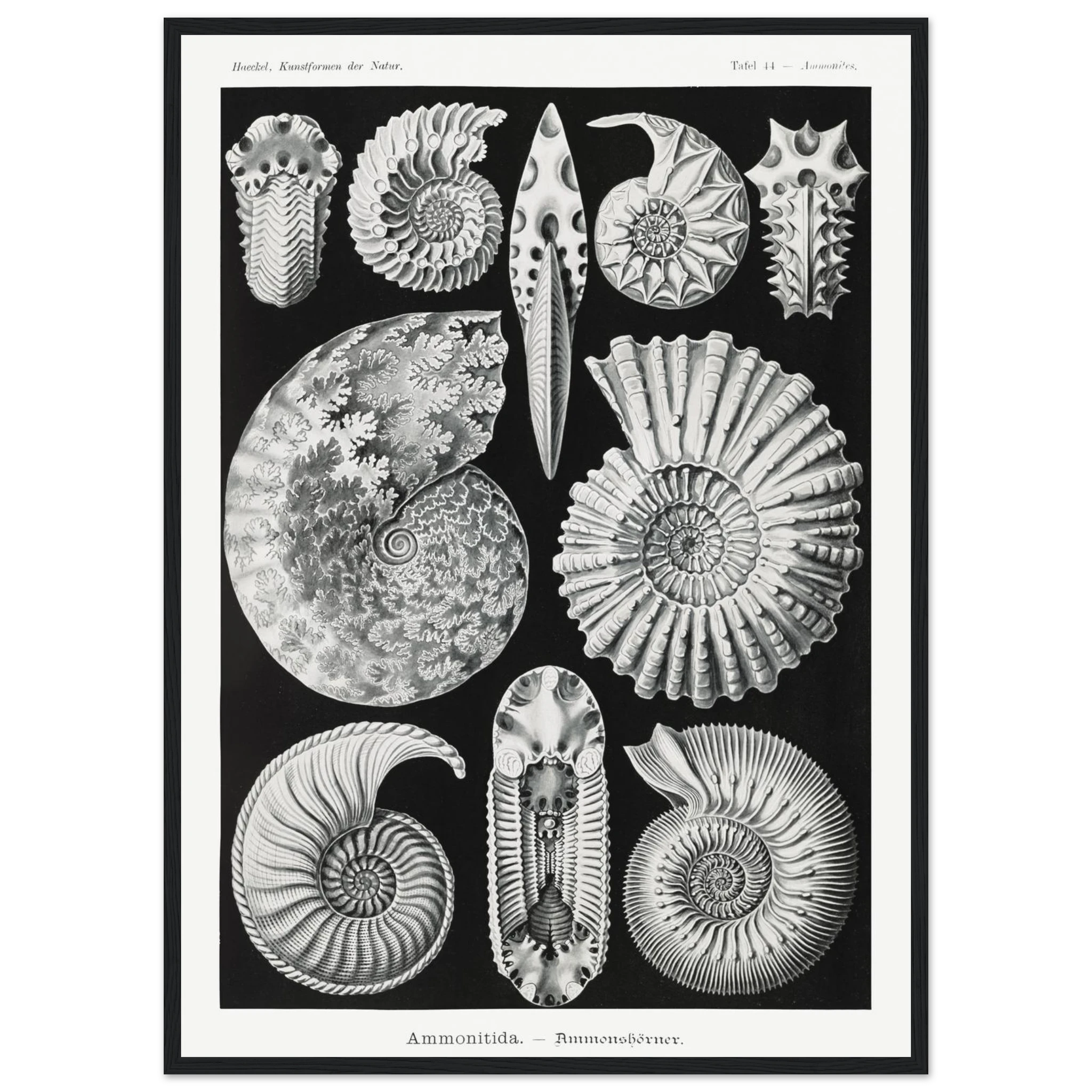 ba6d806e-ebb9-4ff7-9dba-098c8870f0b5