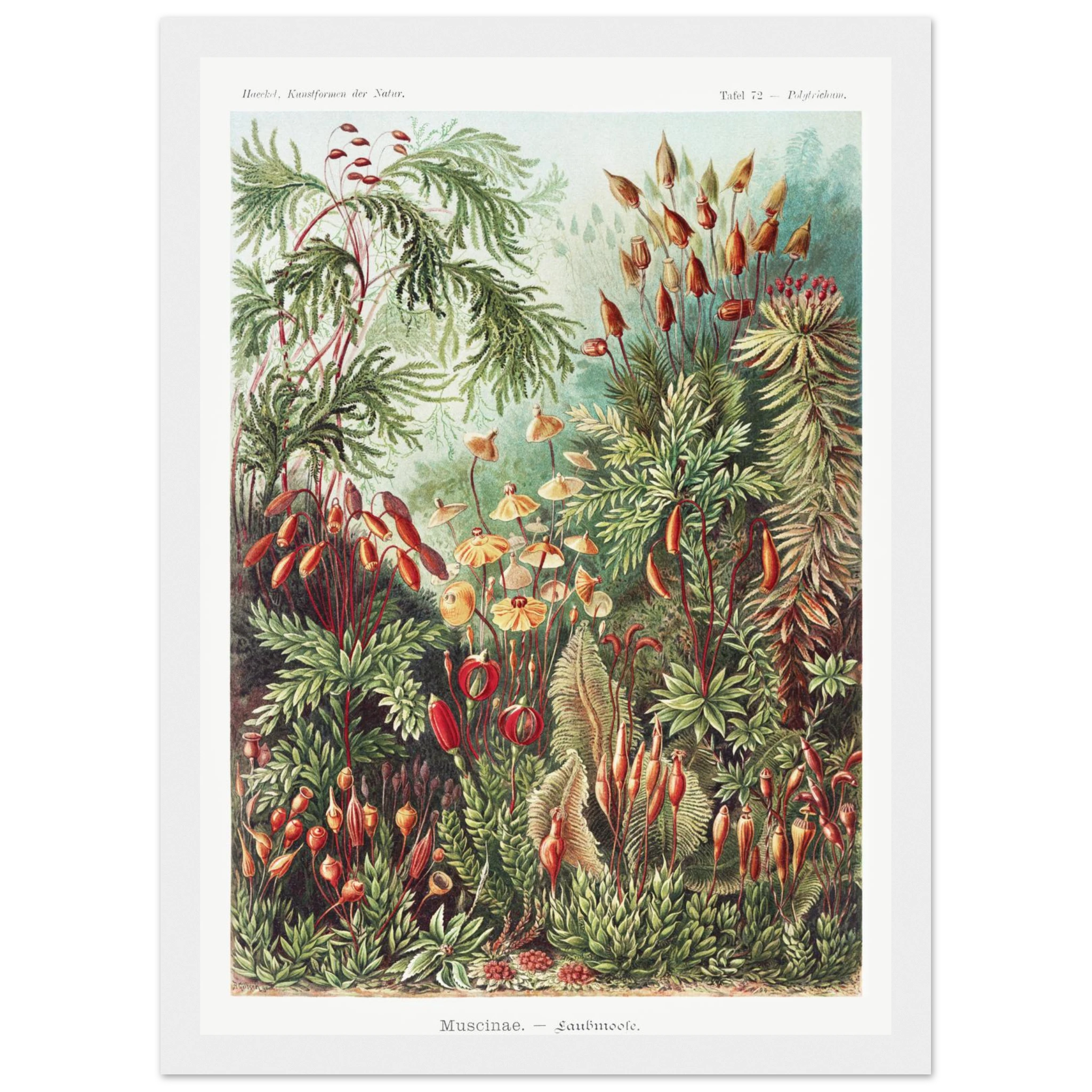 ba766d7f-606f-4cdc-94a7-3afda7937a3c