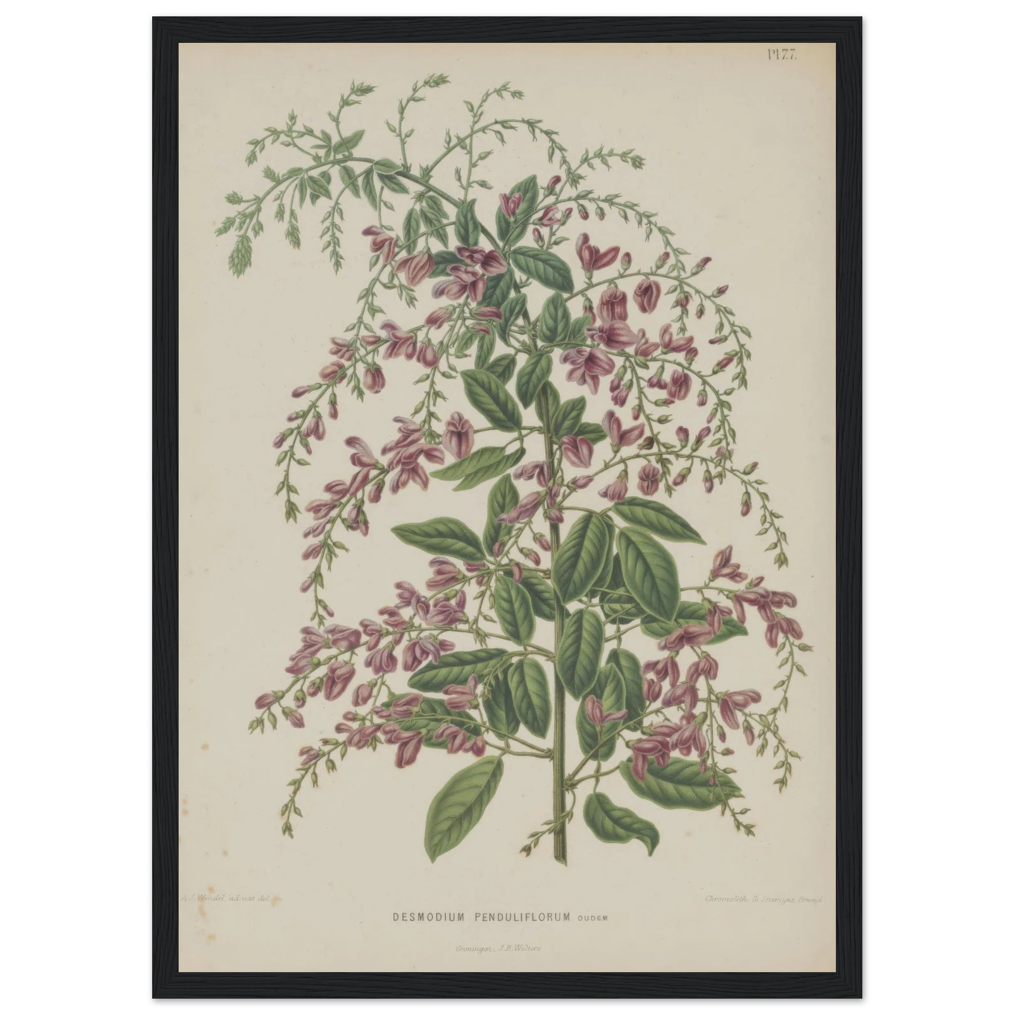 ba77d115-7cc5-476f-ad90-86e0c6bfd7e1