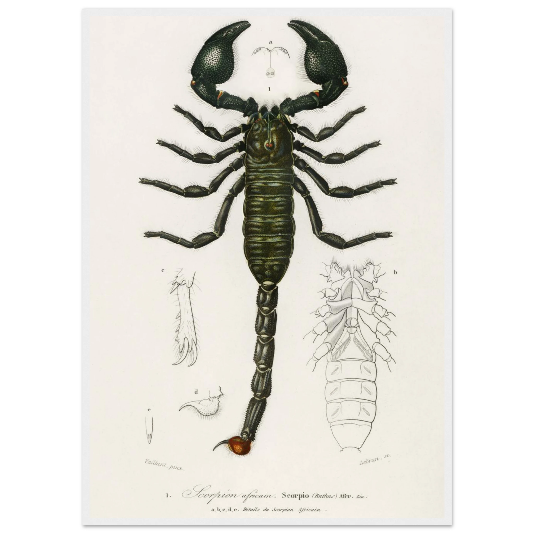 ba8b01d0-181d-4743-8aed-1c3e3a723a56