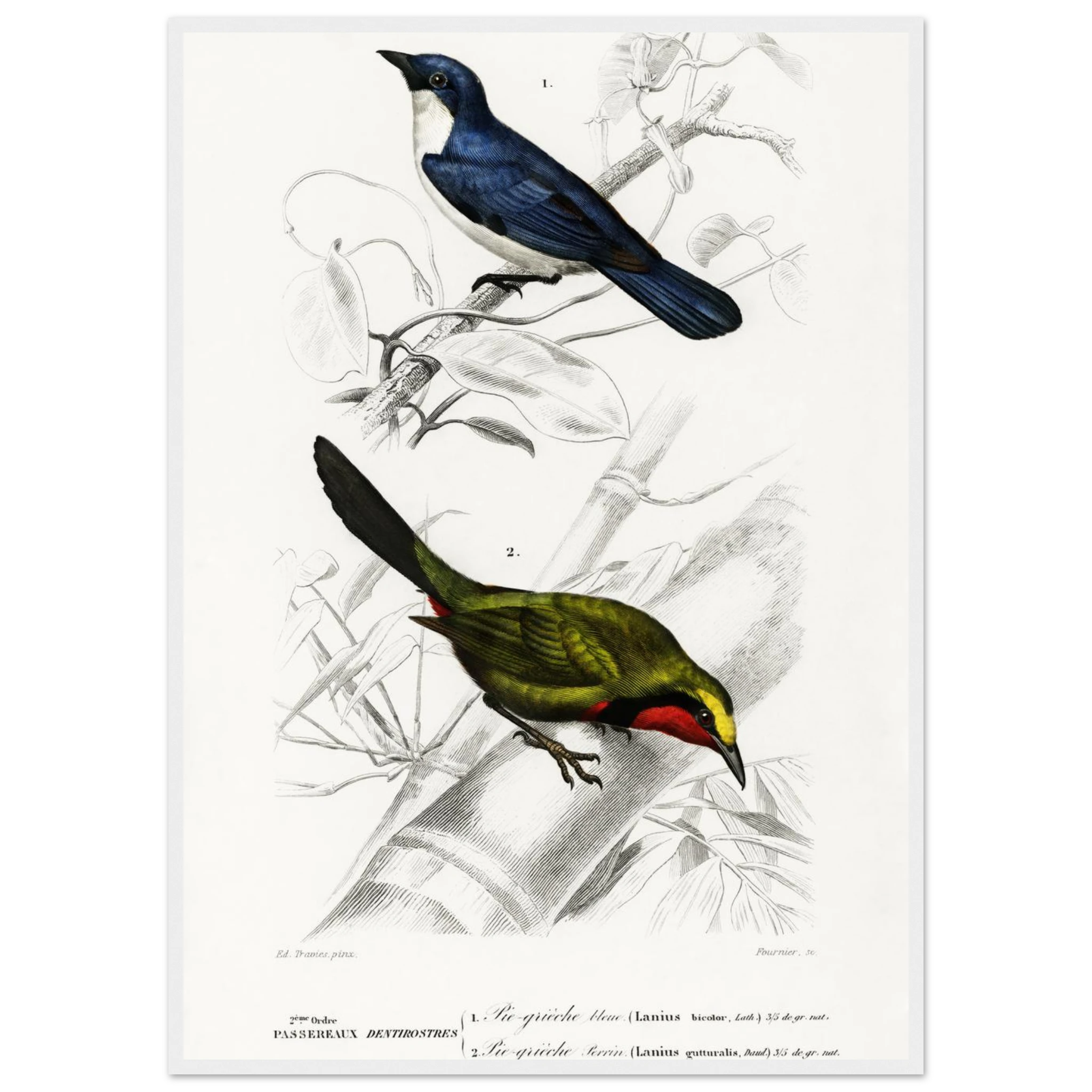 bab58315-04bf-4431-ba27-03b72e3e091f