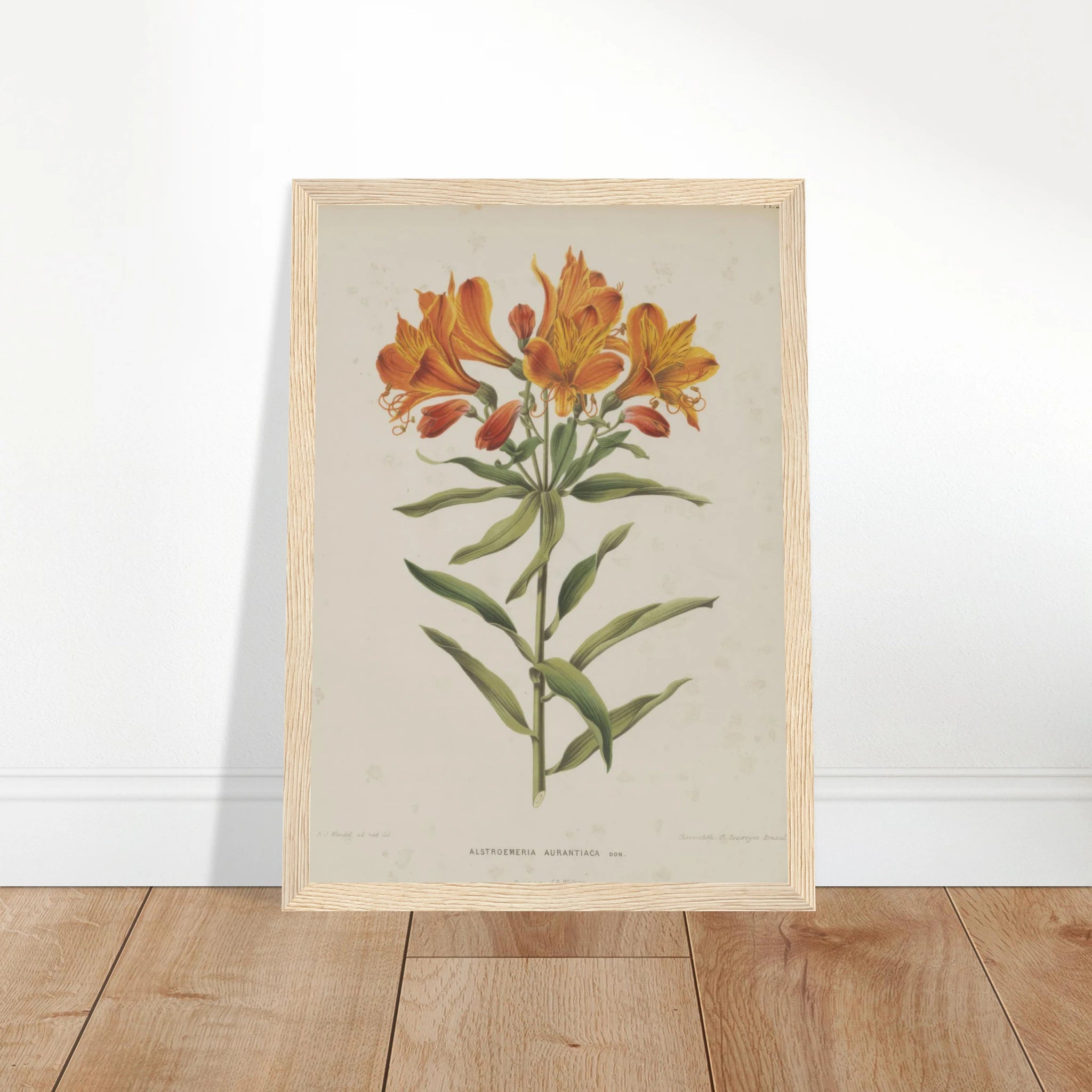 bad3039a-d7e7-475d-89a4-d265b91e7b37