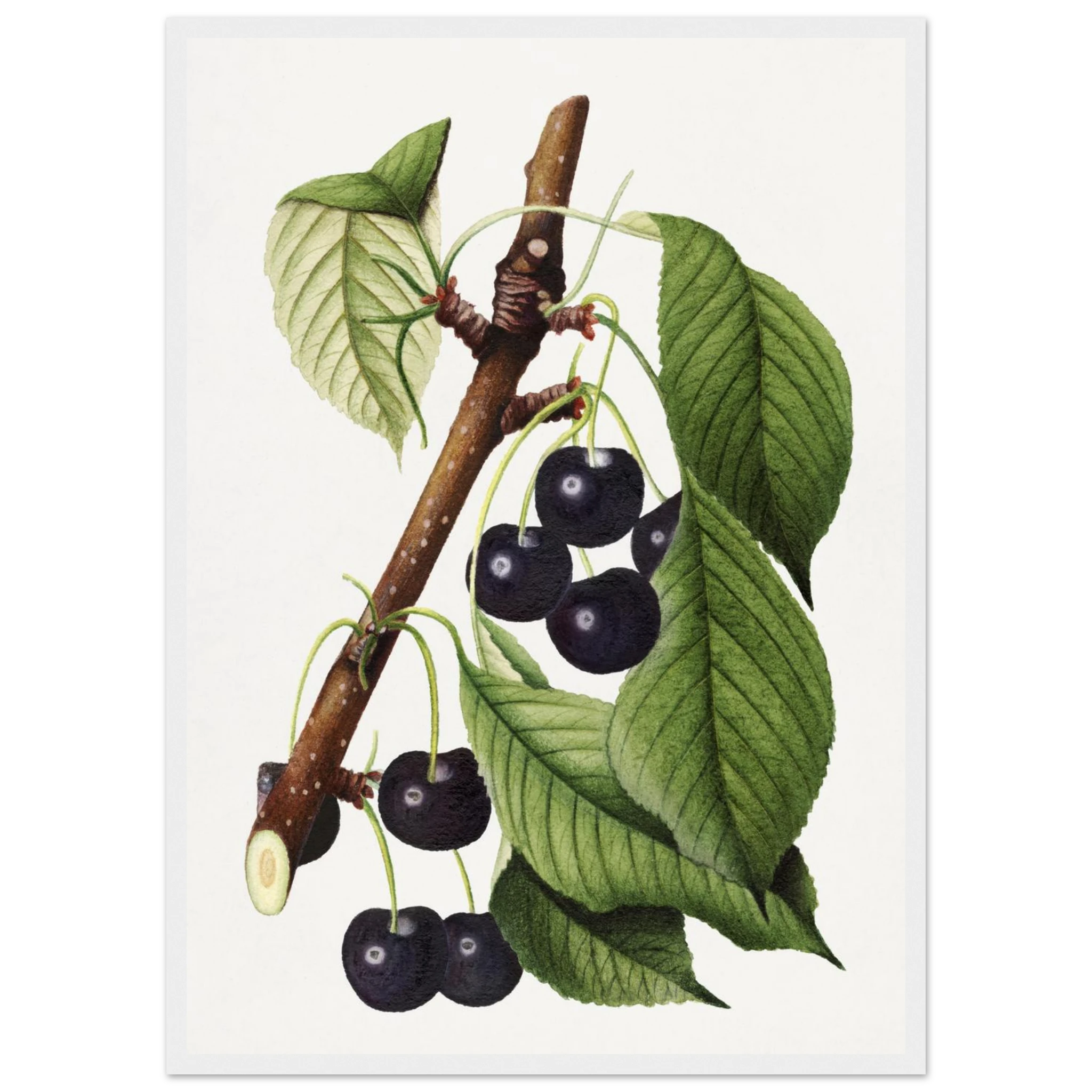 bae2eeb4-44b9-42e1-8766-1c33a0331660