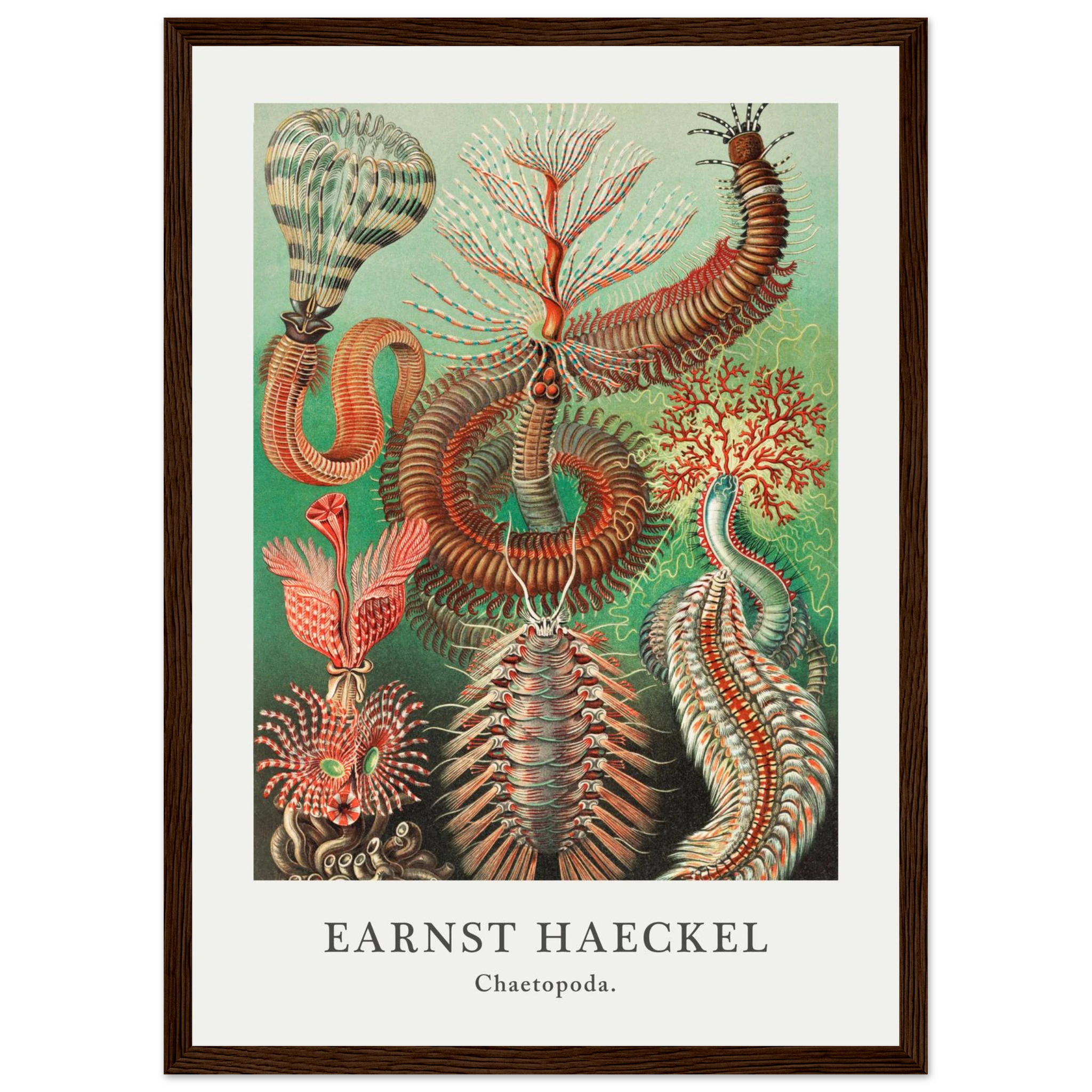 baeafdd4-6228-496f-994a-77cdc3fd89ef