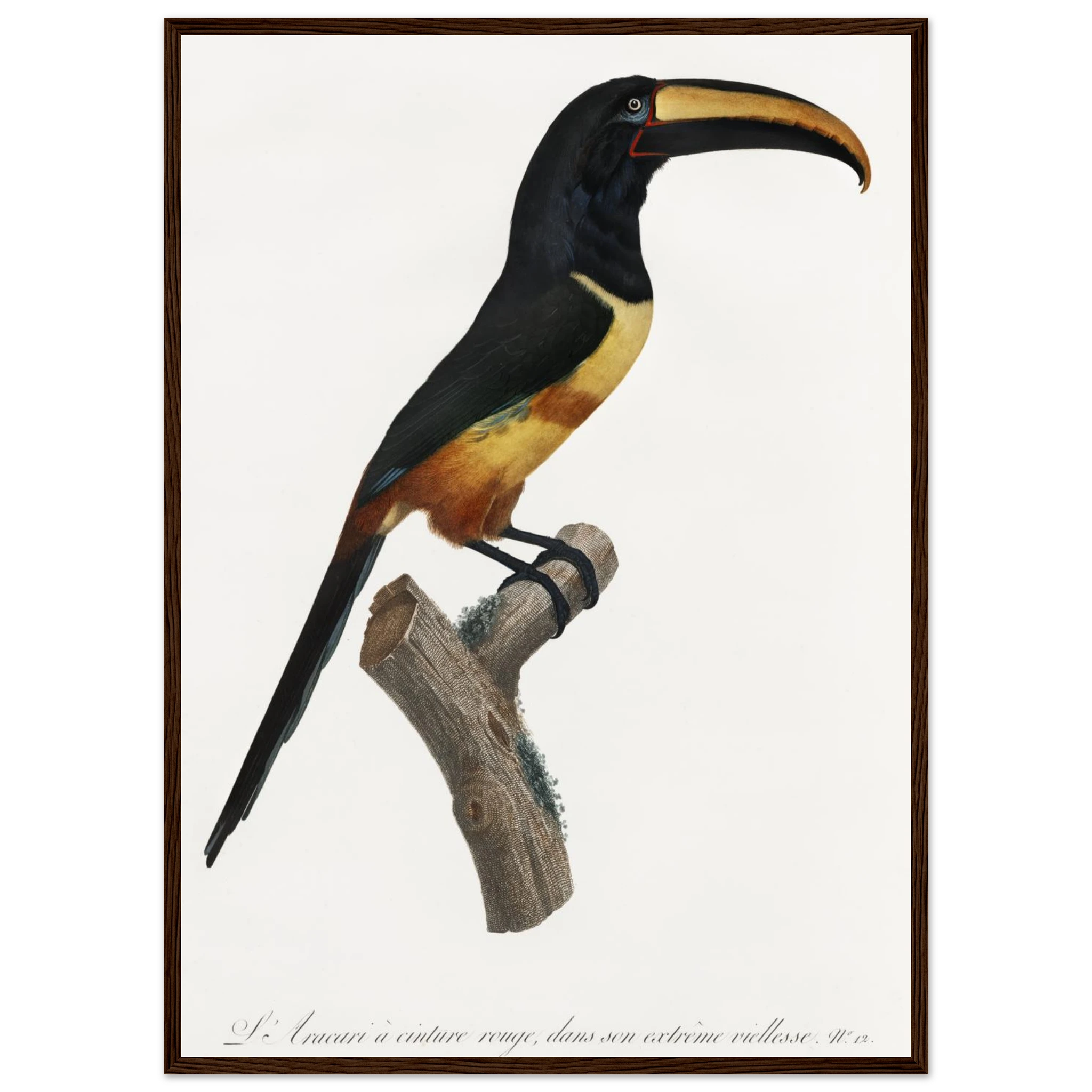 bb534edd-9cca-4aa7-ab6c-f39a2e5a9153