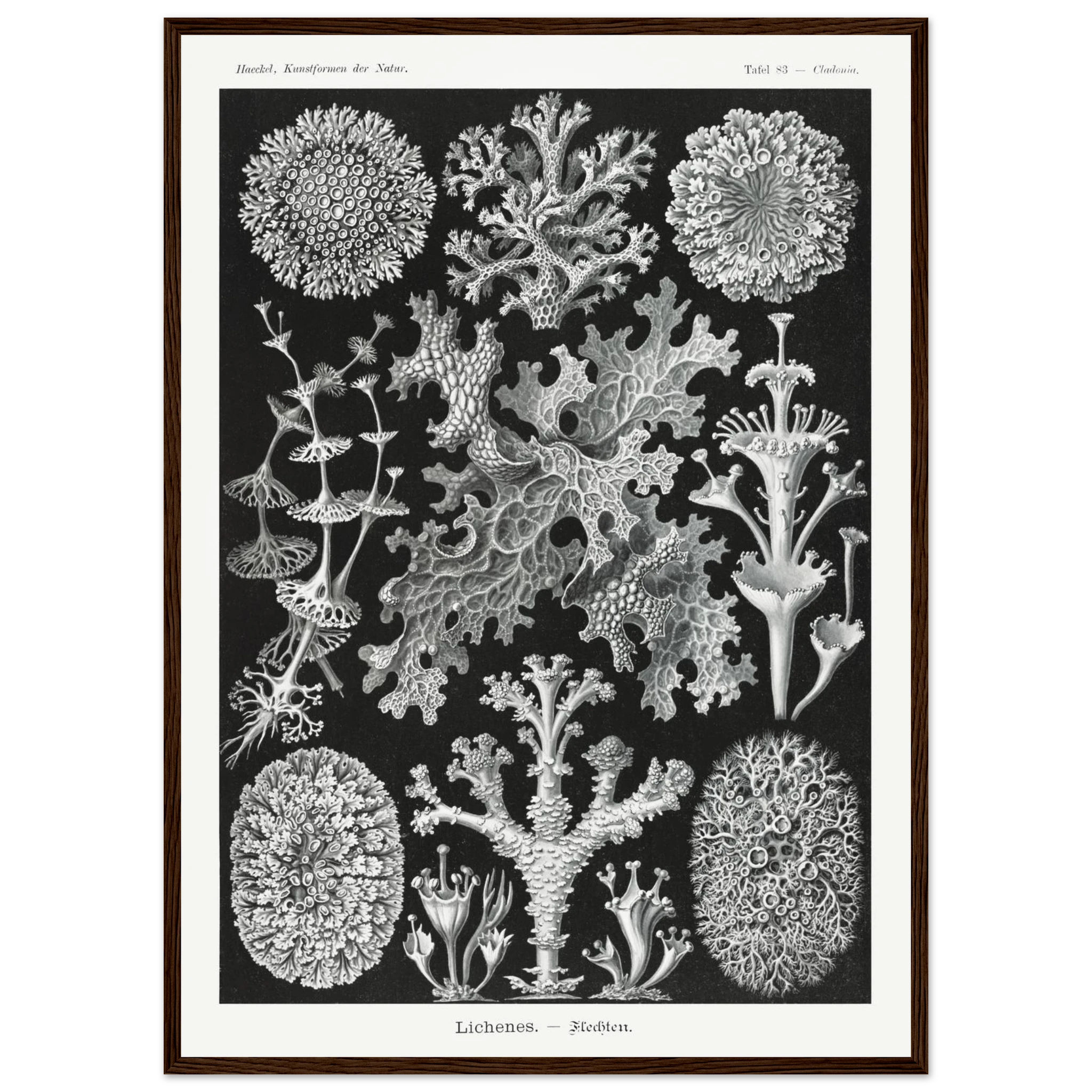 bb5f4fab-98a4-437f-a6af-f37f0f10e617