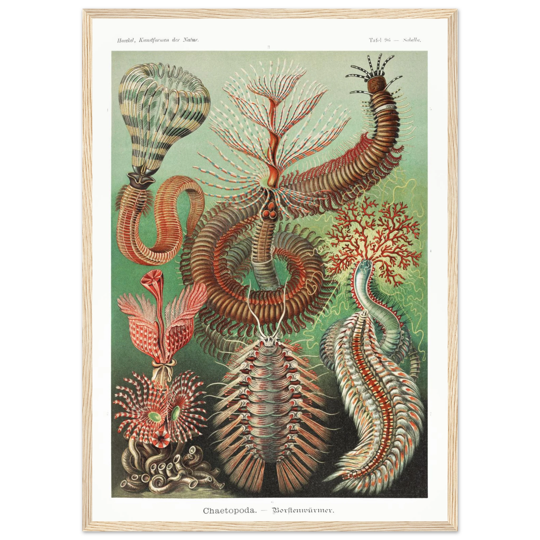 bb6ca146-c464-46a6-90f5-cbec5ed0cc9f