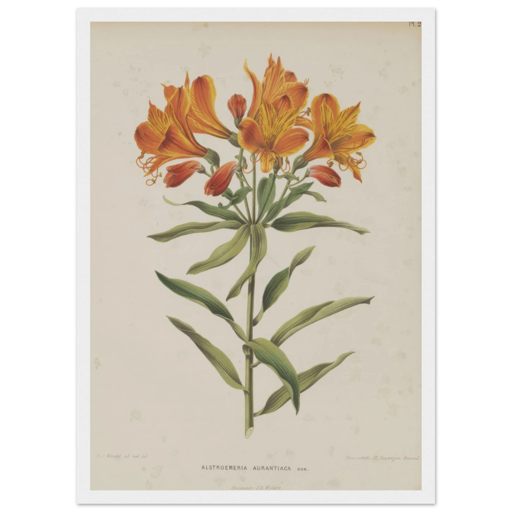 bba90ffe-de02-4c5e-9cfb-799b3408d2c3