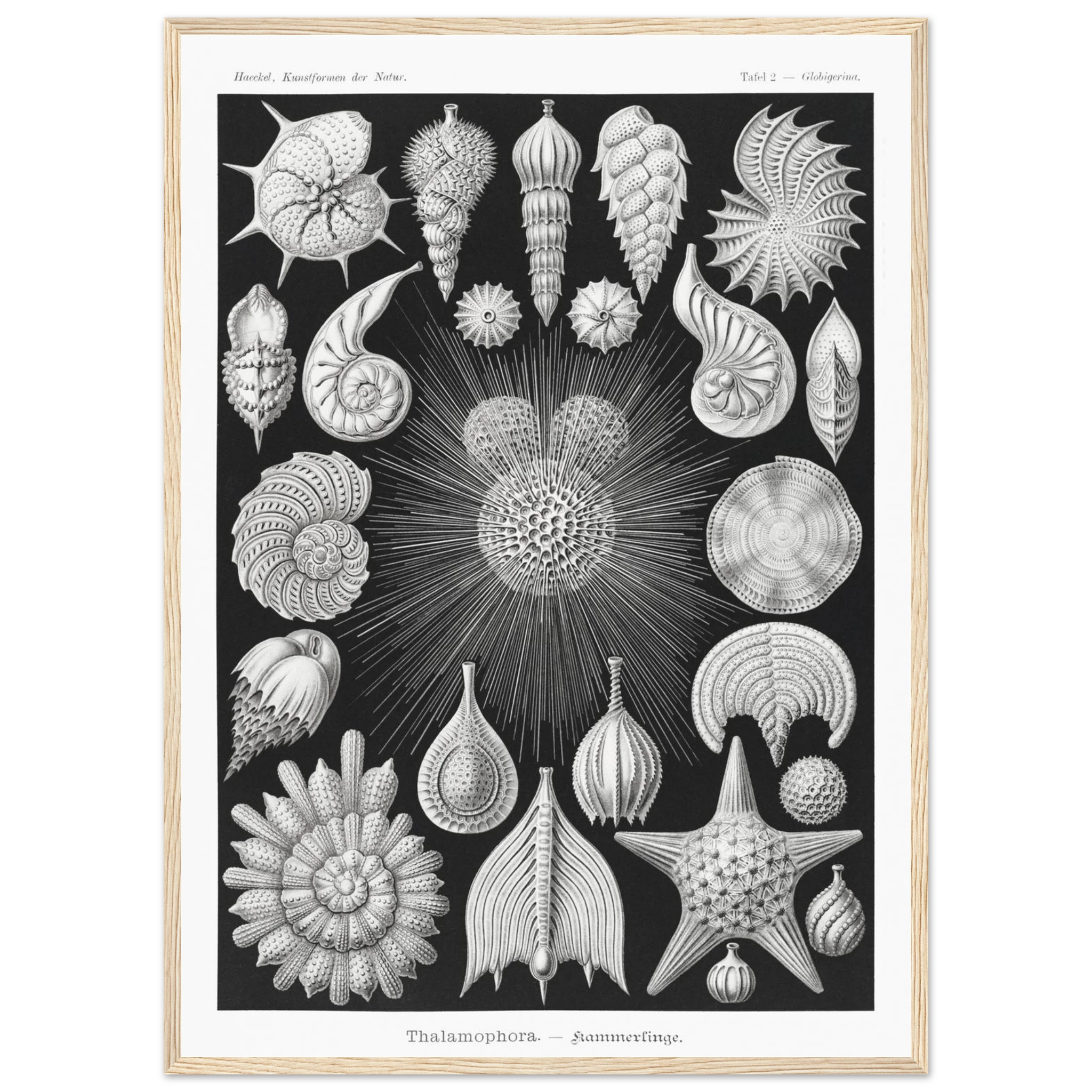 bbac3b96-cd22-4cb2-a41f-2fe86ef0c01c