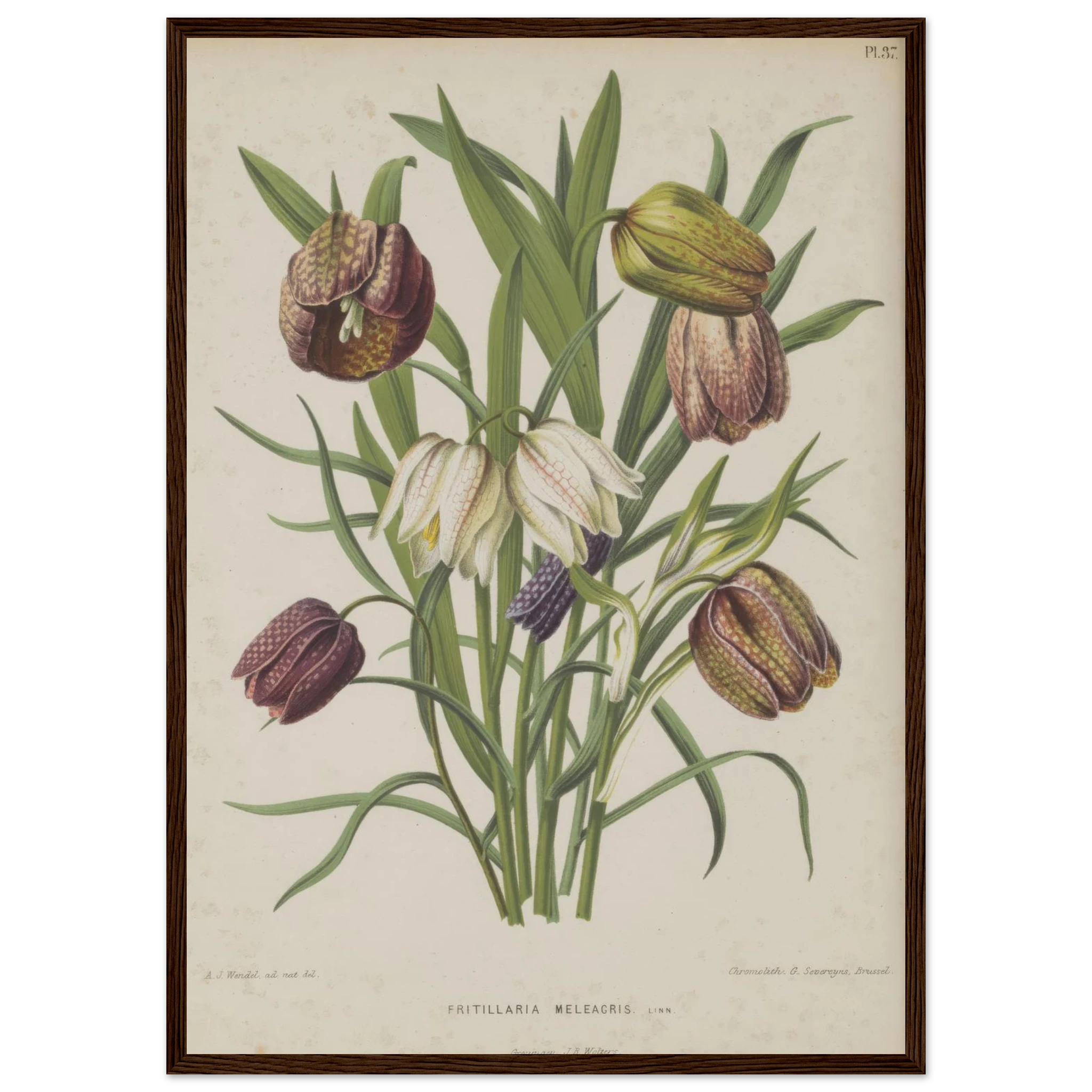 bbd3fdd2-7b9c-4815-ba73-3590b581112e