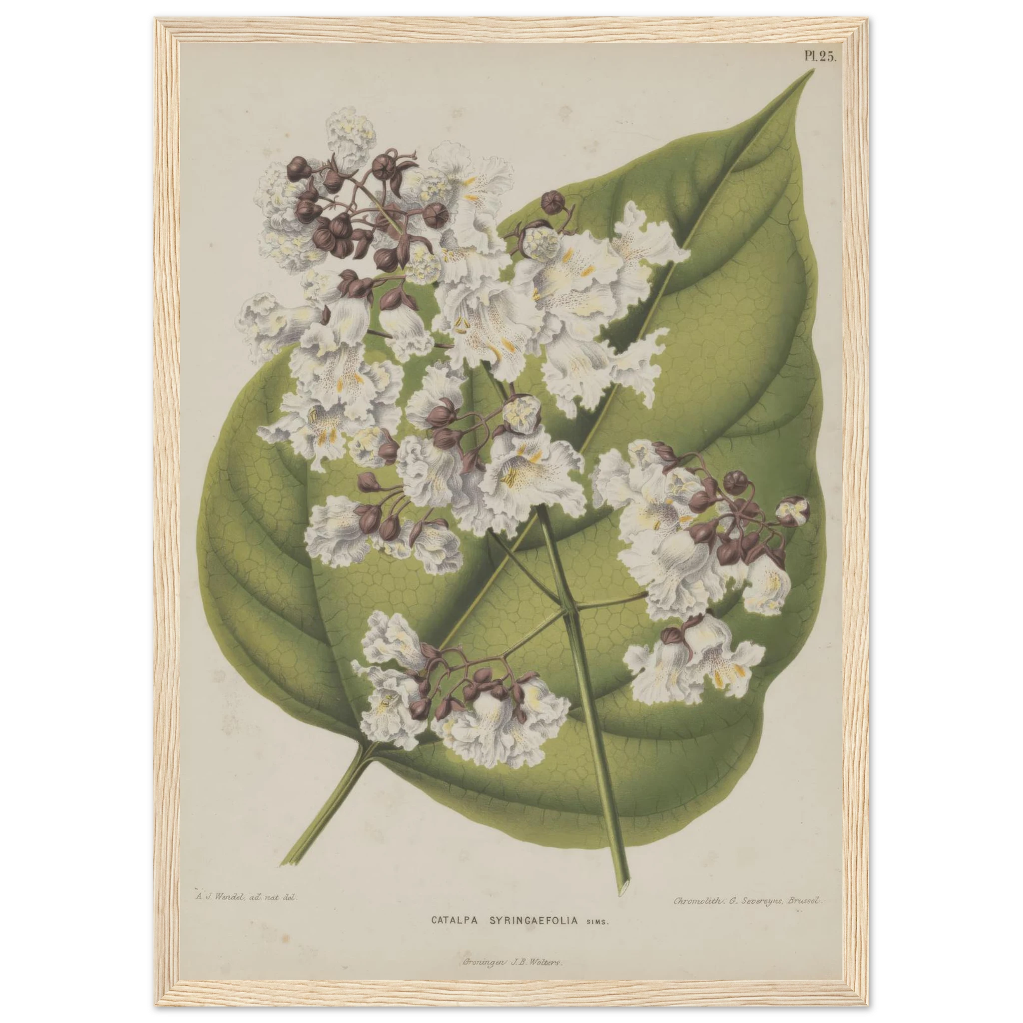 bbd801fd-a2ce-47f0-bb87-49fd5f3ce527