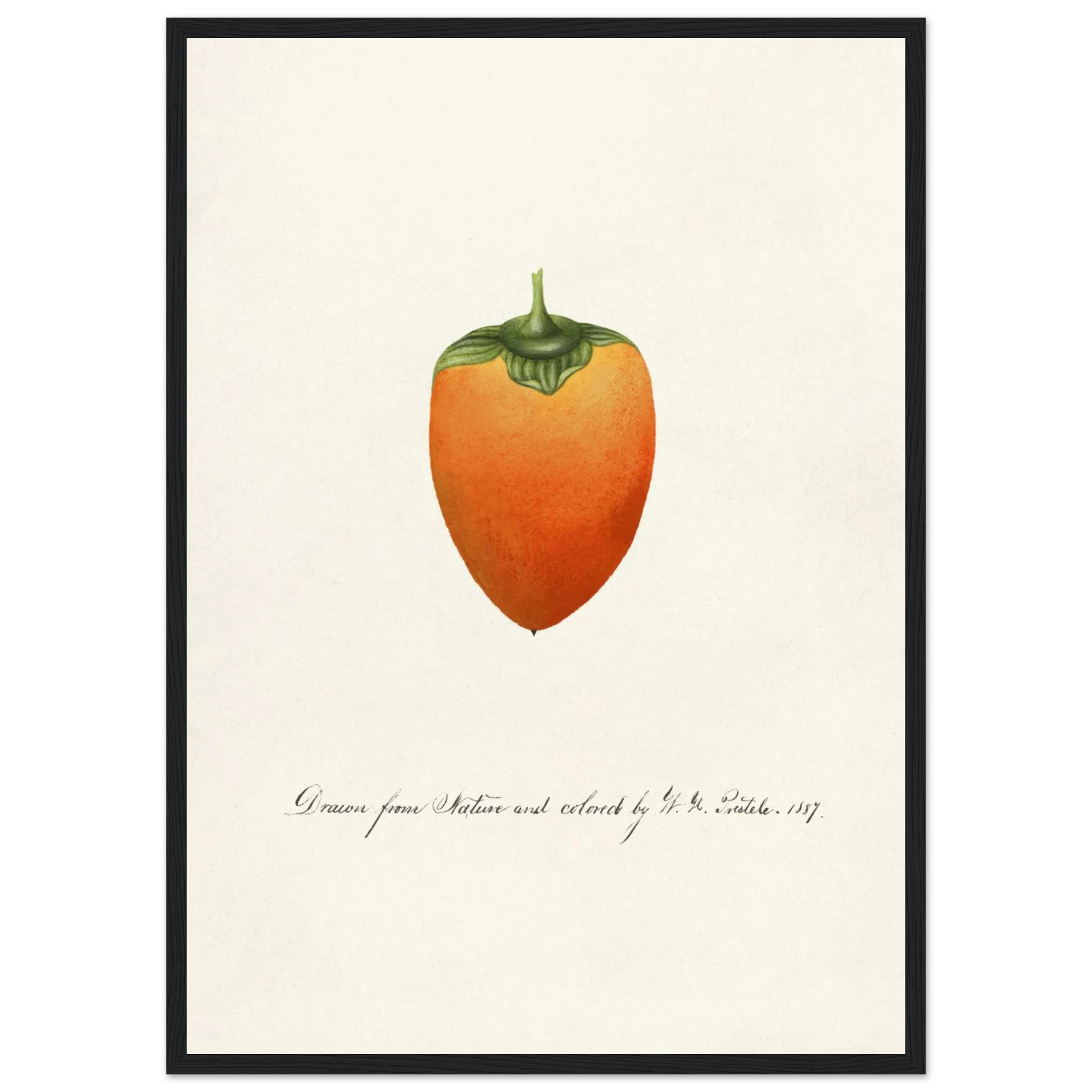 bbda0330-c9d3-4c79-82dc-e38059eaab7c