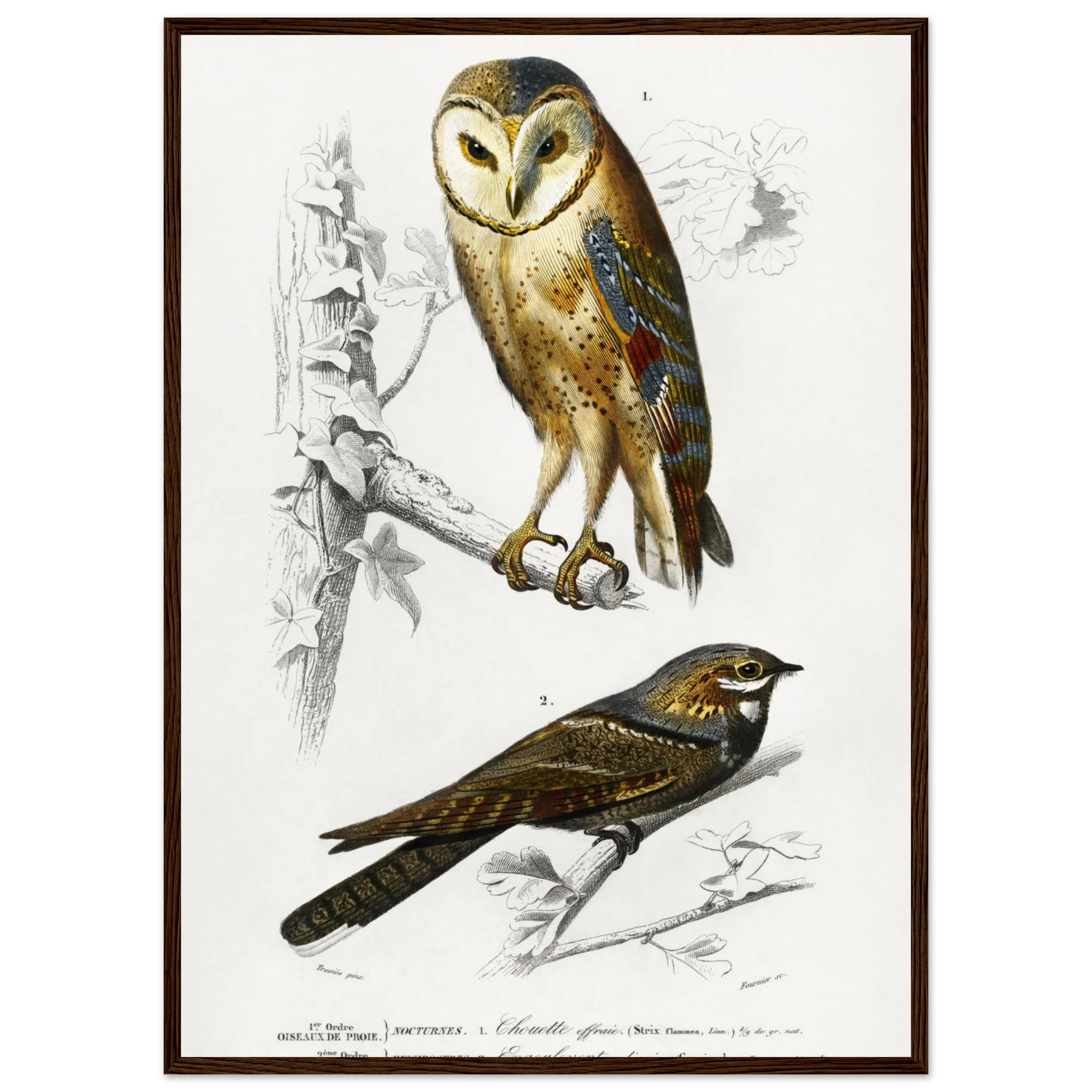 bbfce4d6-60ec-47f6-a597-9368894ba786