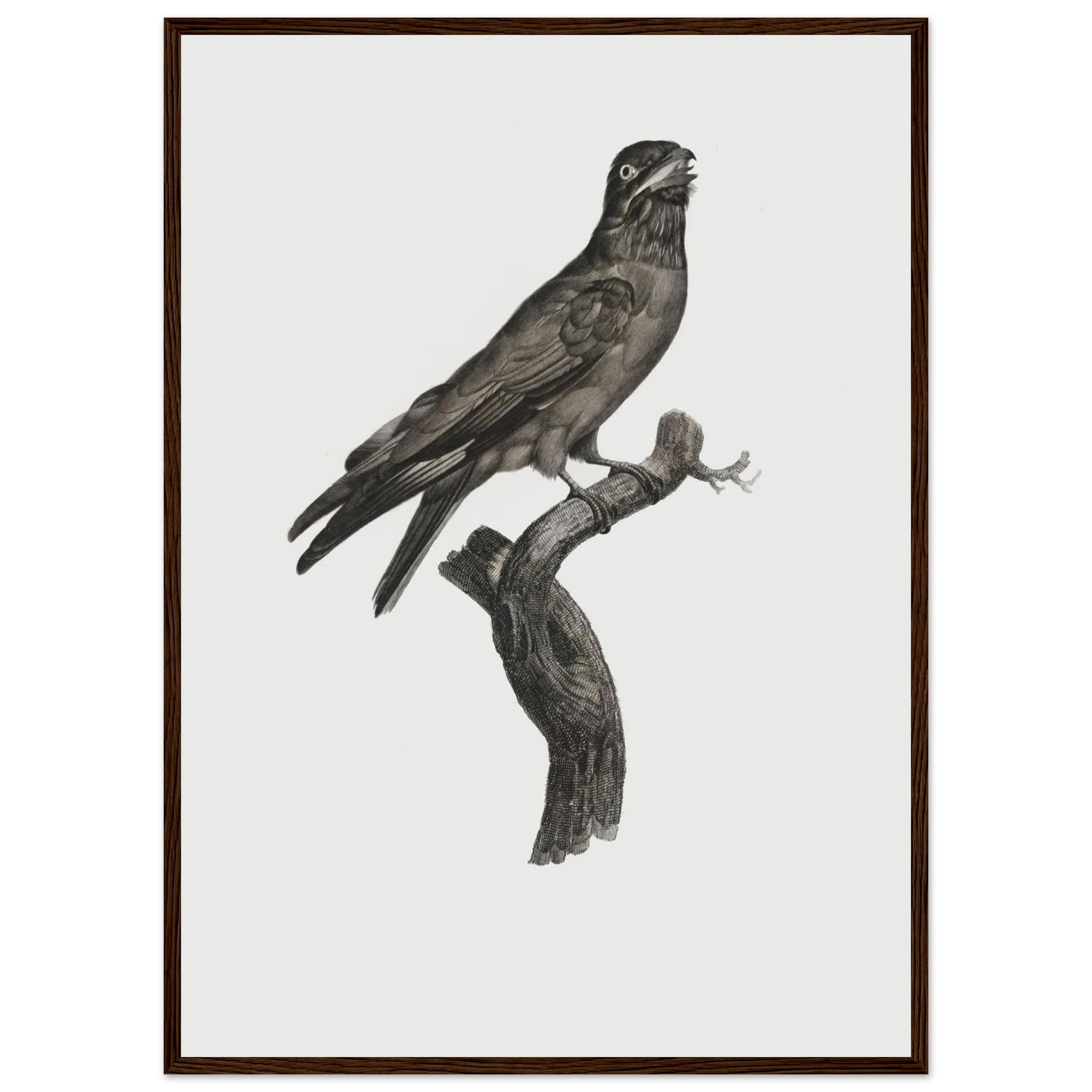 bc08b3b3-92bc-44f4-b305-56c676102fc6