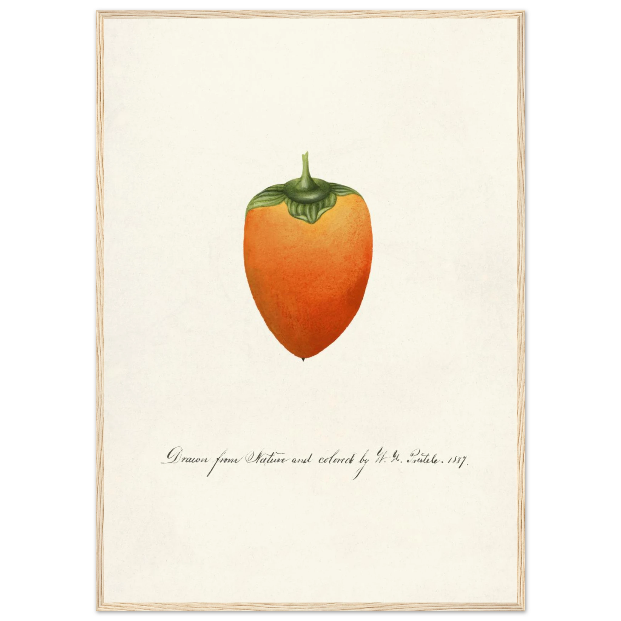 bc24e2a7-6731-4178-84a6-619f39c286de