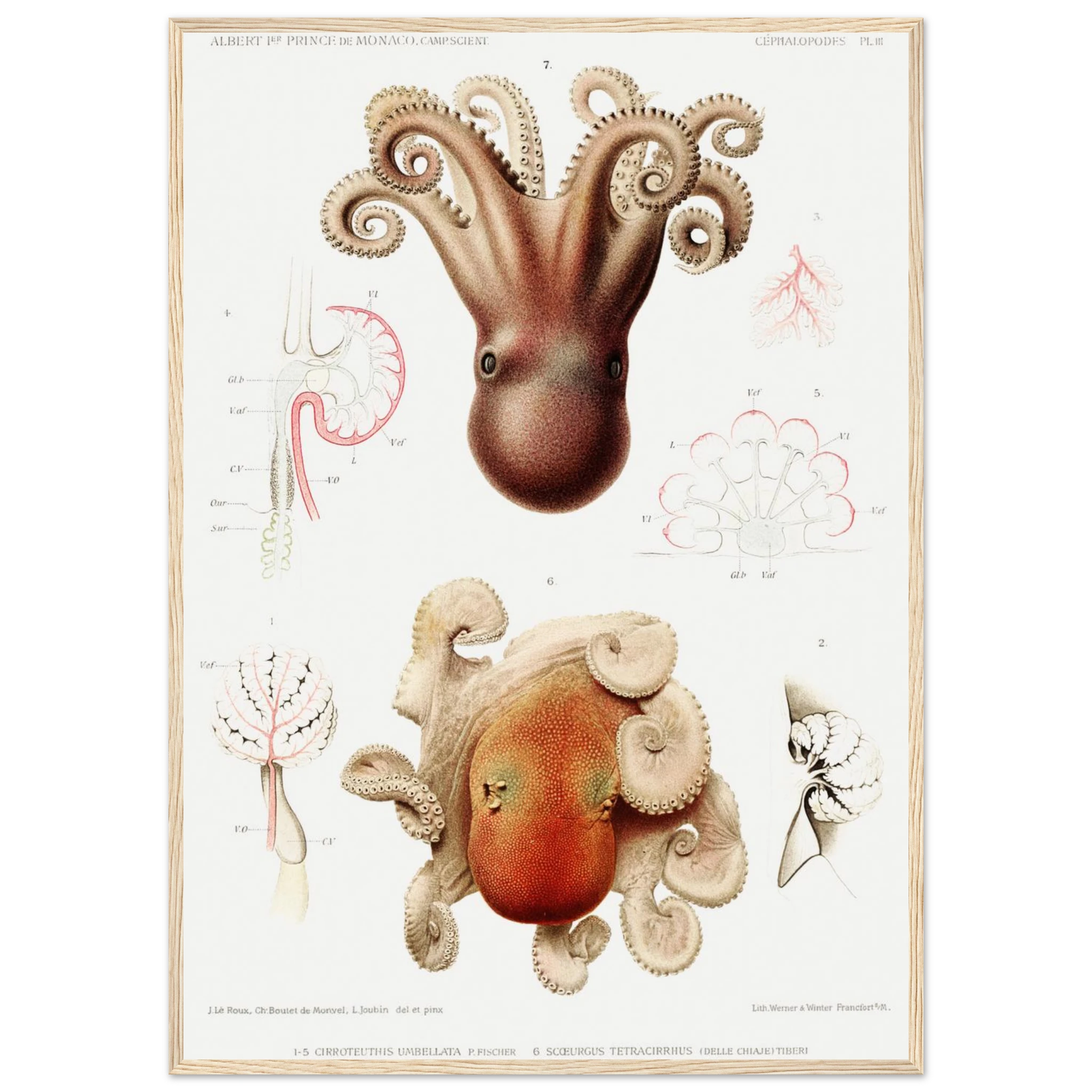 bc338229-55e0-48ca-8584-96981e4c6a34