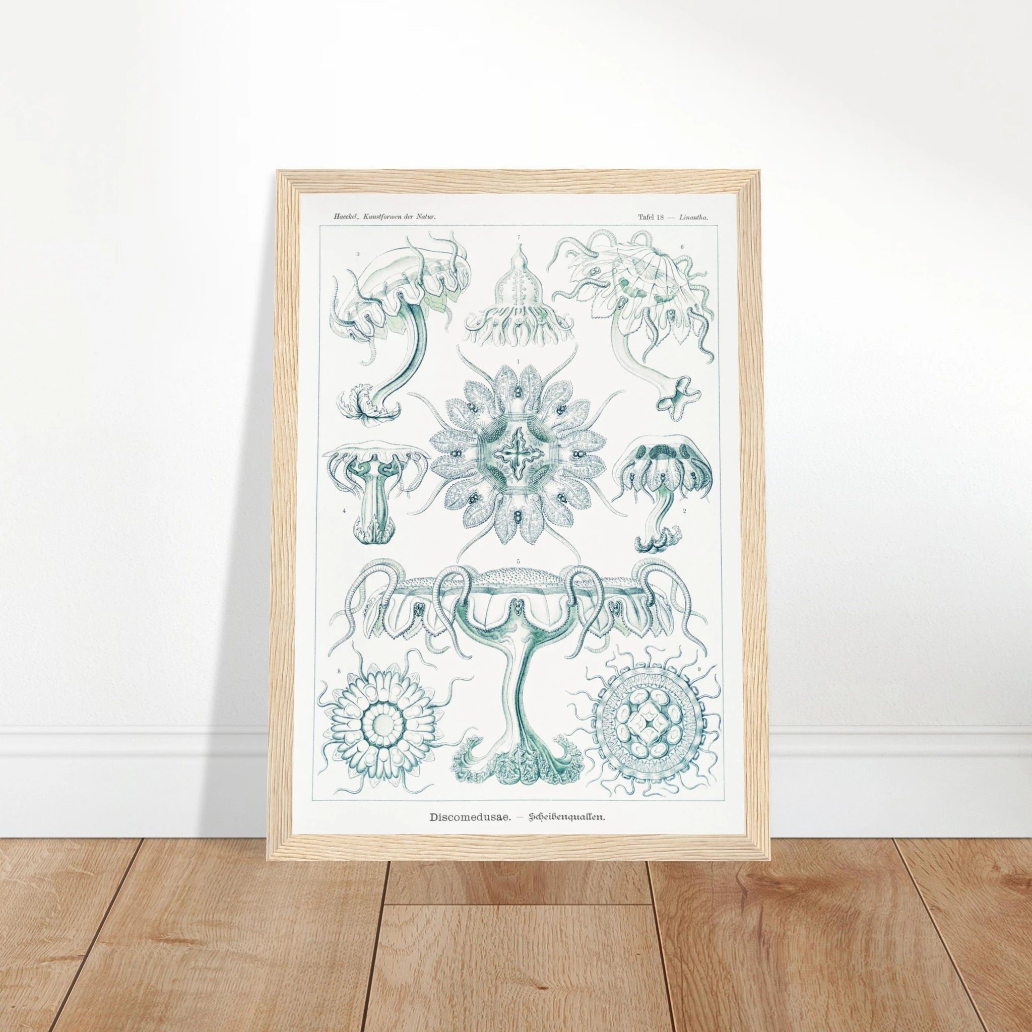 bc5045a2-82b8-4fa6-bfe9-28c459484dbb