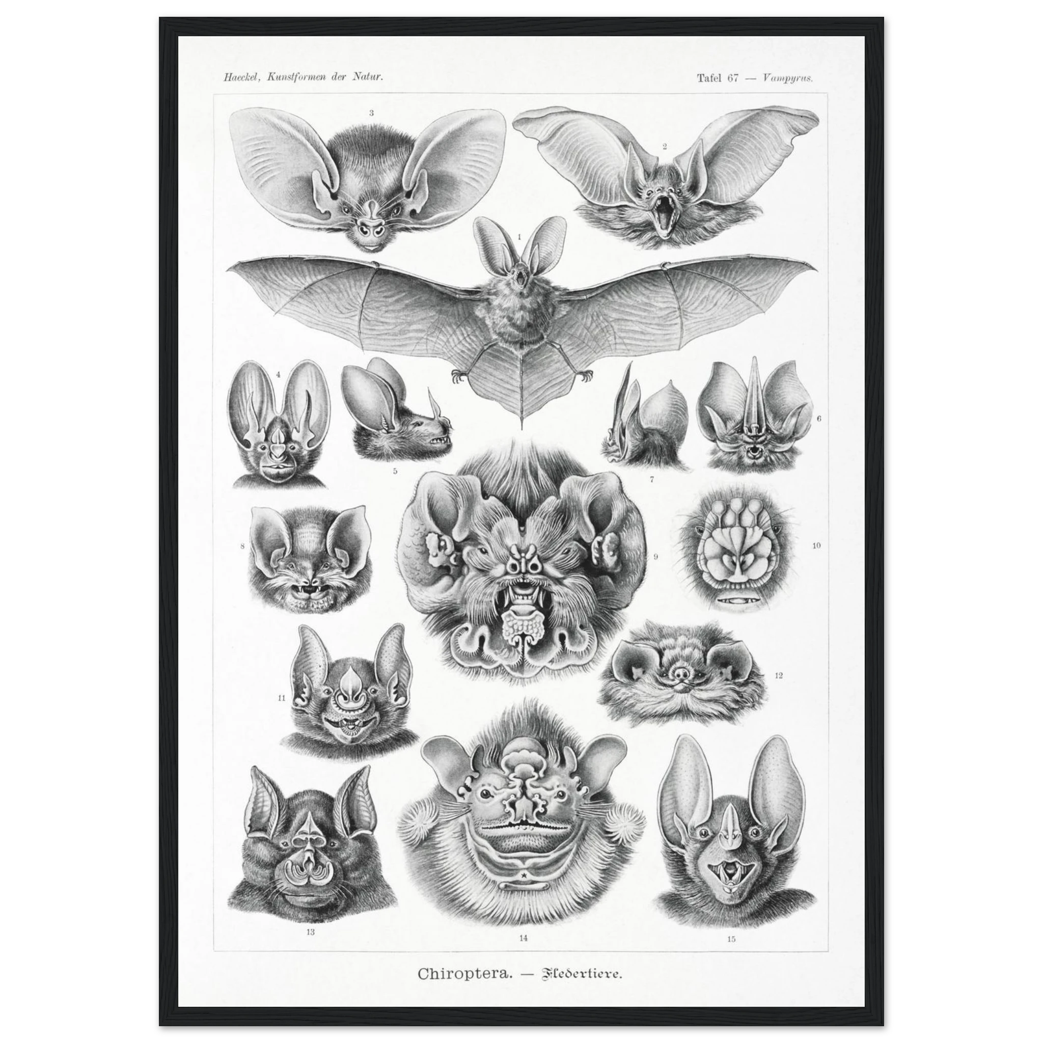 bc7512a8-2ed3-4de9-b68b-55151b6e44bf