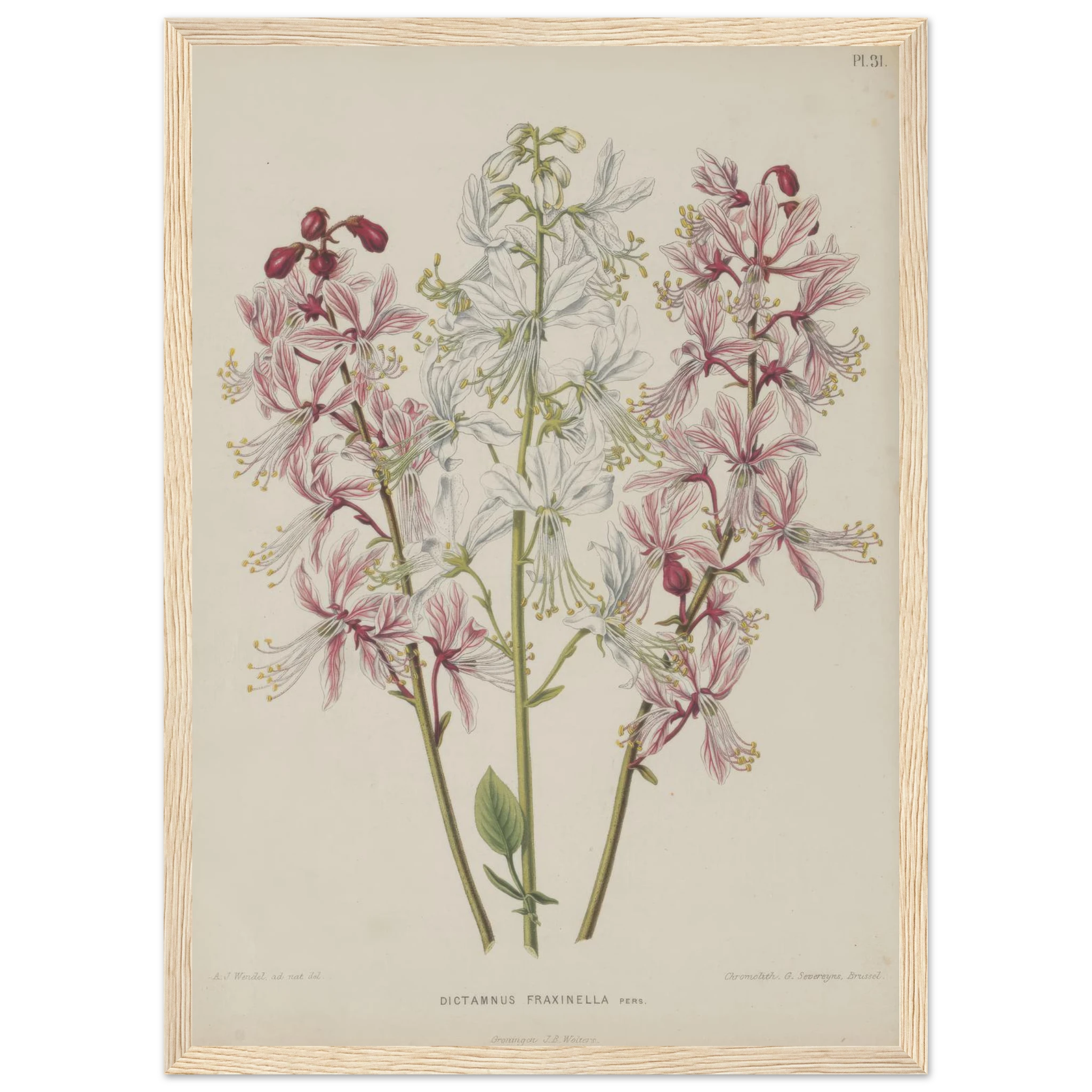 bc76ee4f-c866-4bb4-9198-92294749ef92