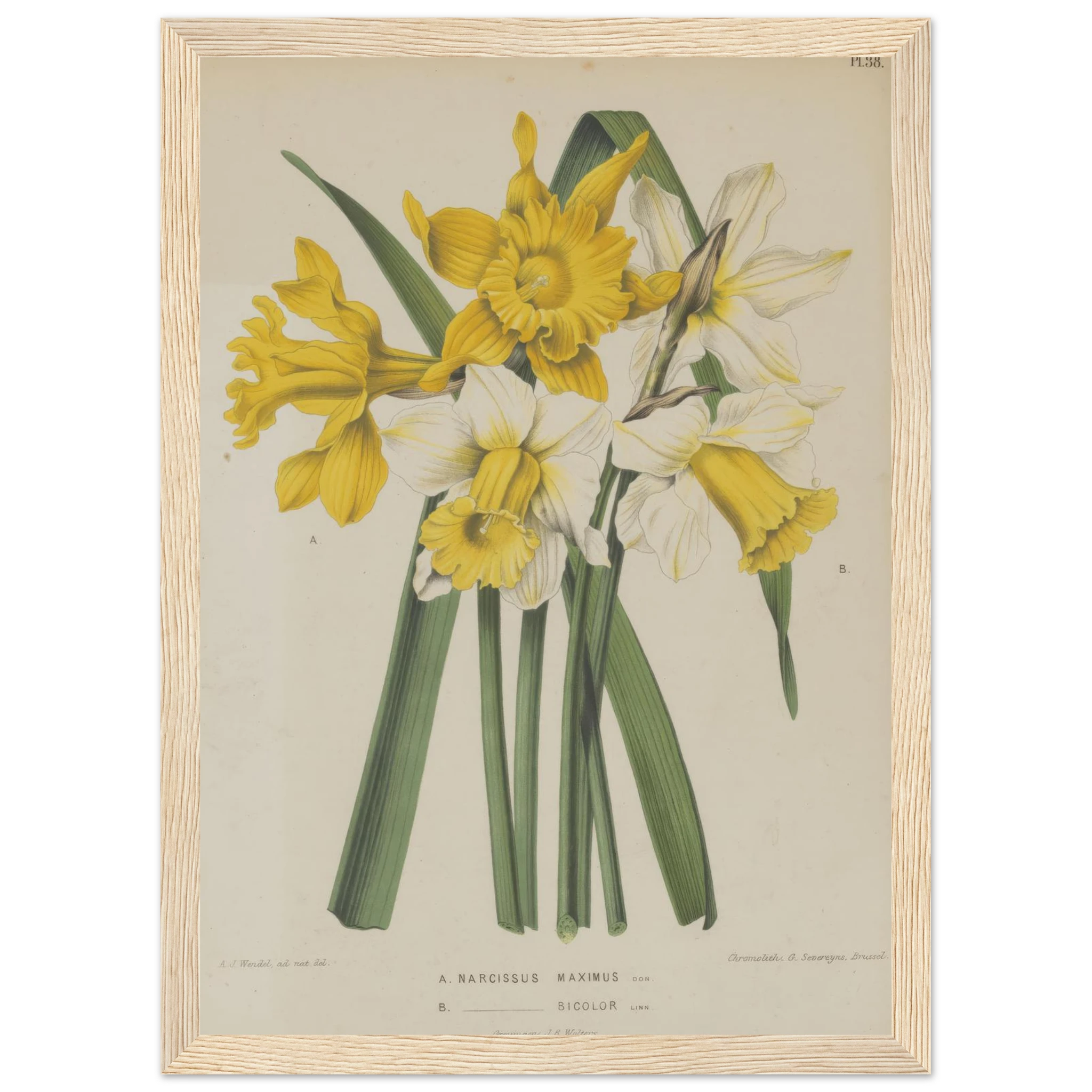 bc867ba3-2568-4a06-b437-0a97790e1b68