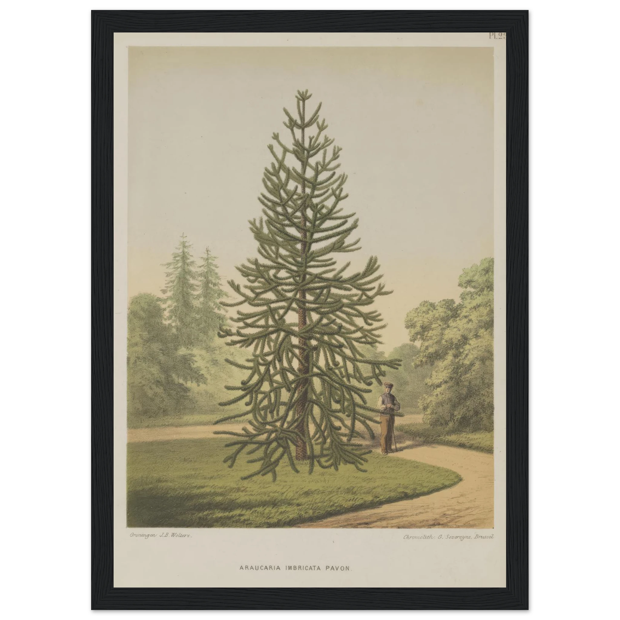 bc9a96ff-c5b2-4aaa-b037-41beade753f5