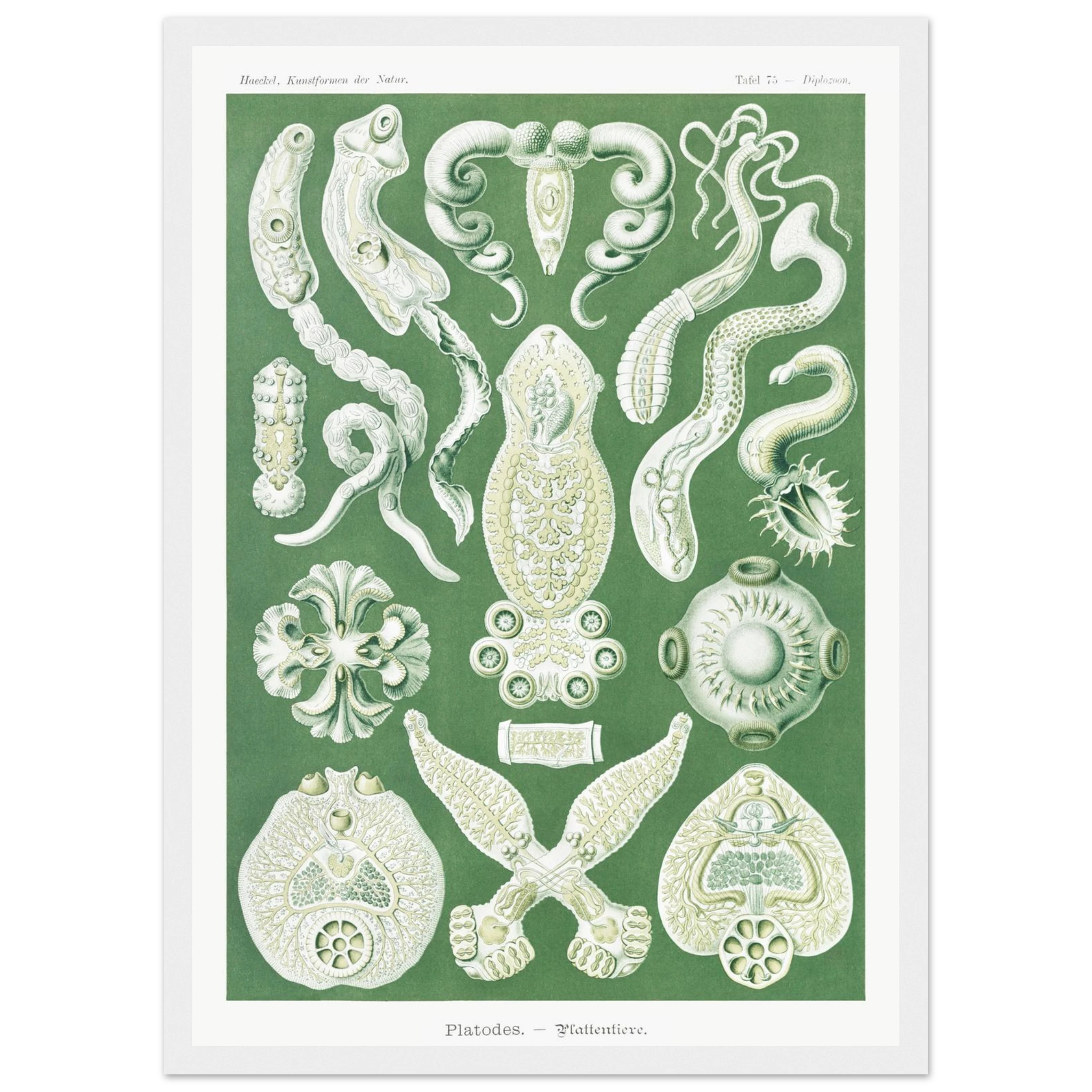 bcbd6e87-4fb6-466a-99a0-9f611f87bd7a